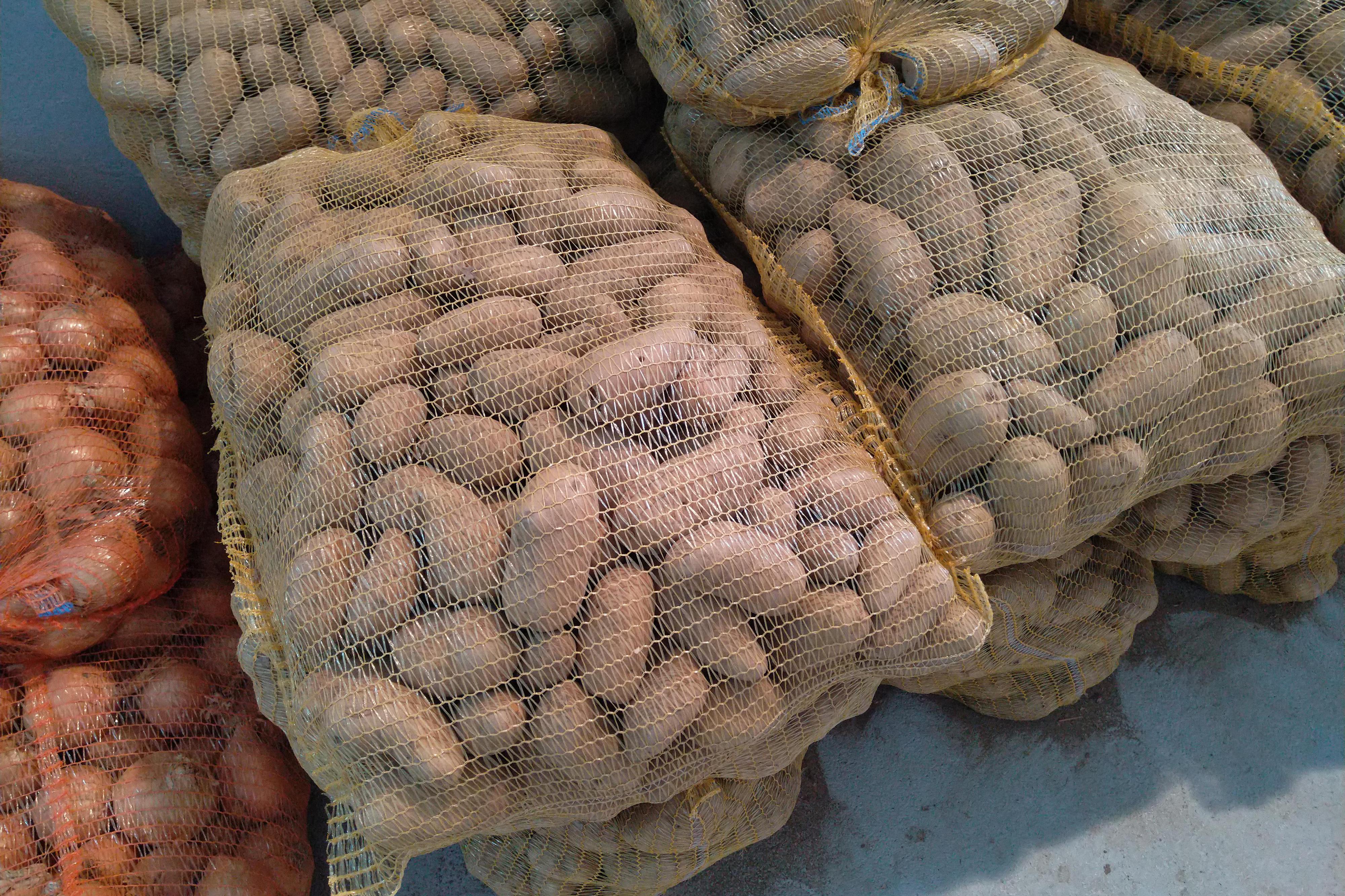 Ludmila Holubníčková