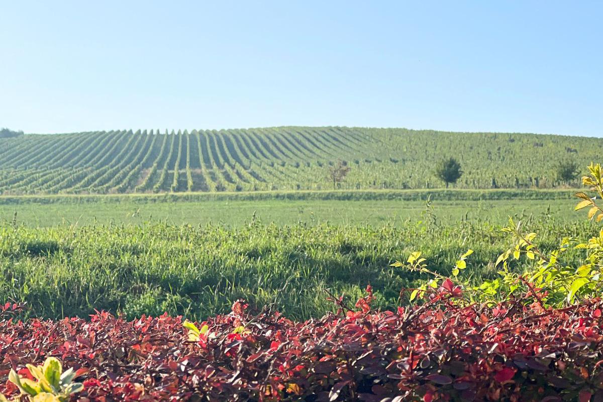 PATRIA Kobylí, a.s.