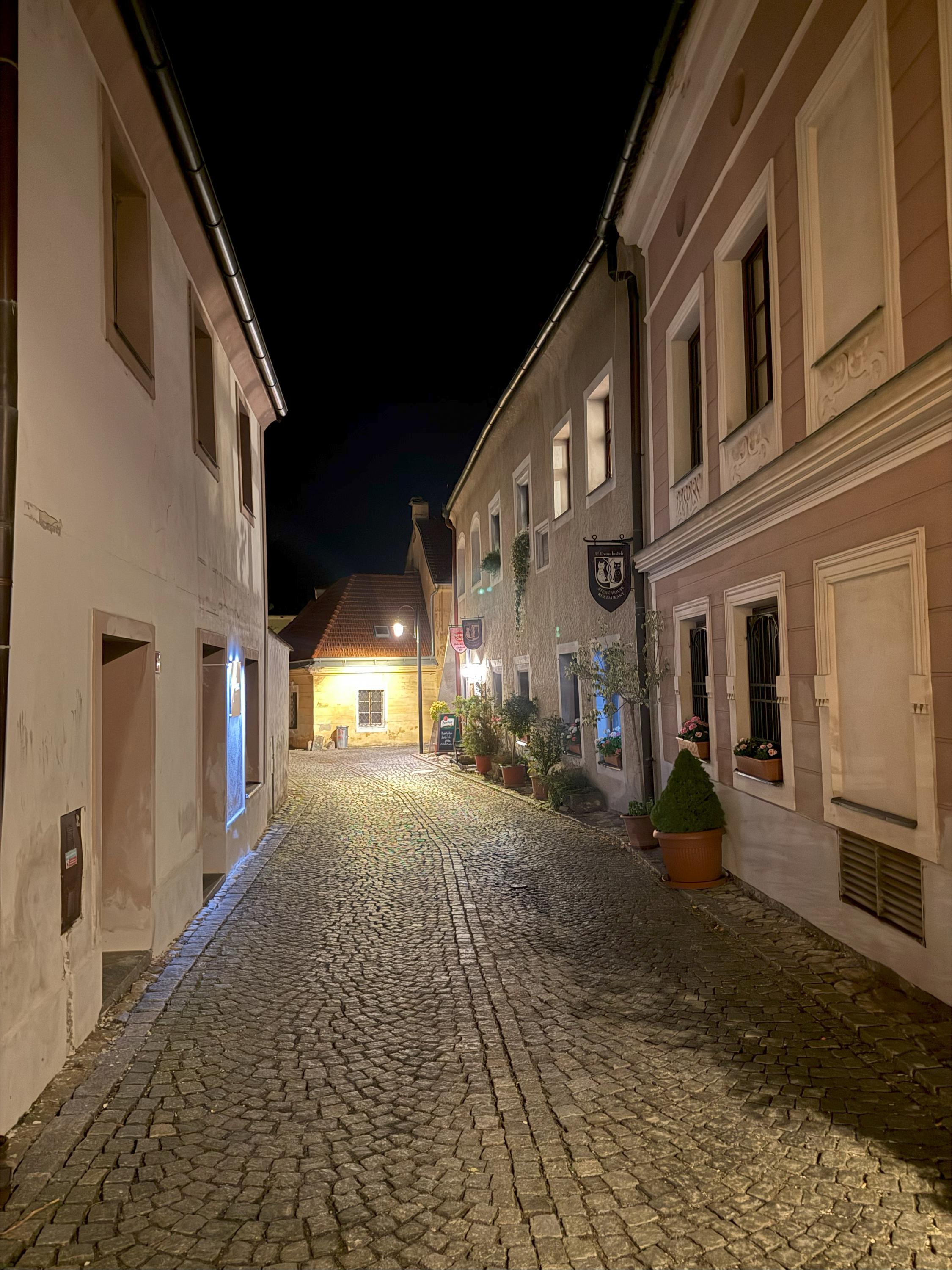 Restaurace U Dvou koček foto 6