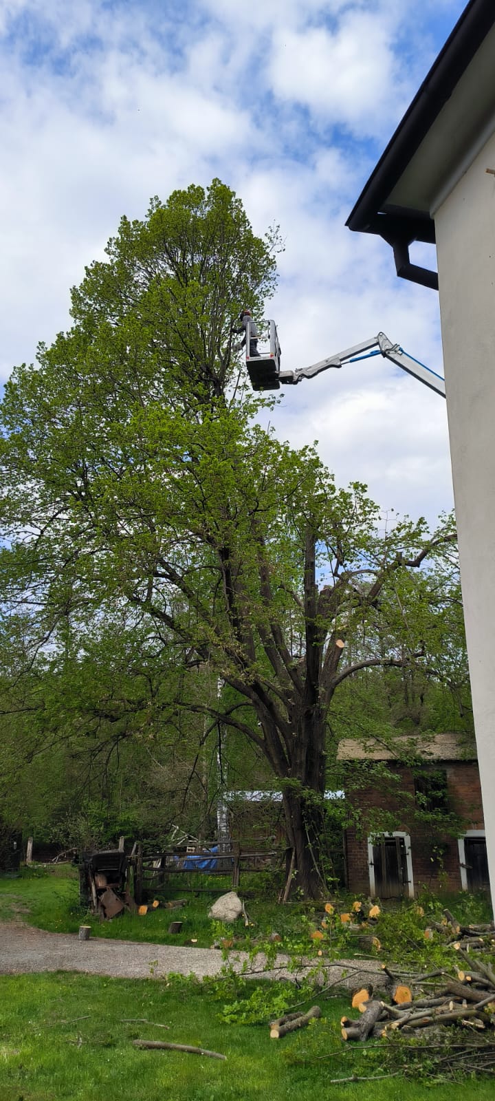 Zahradnické služby Rhizo foto 3