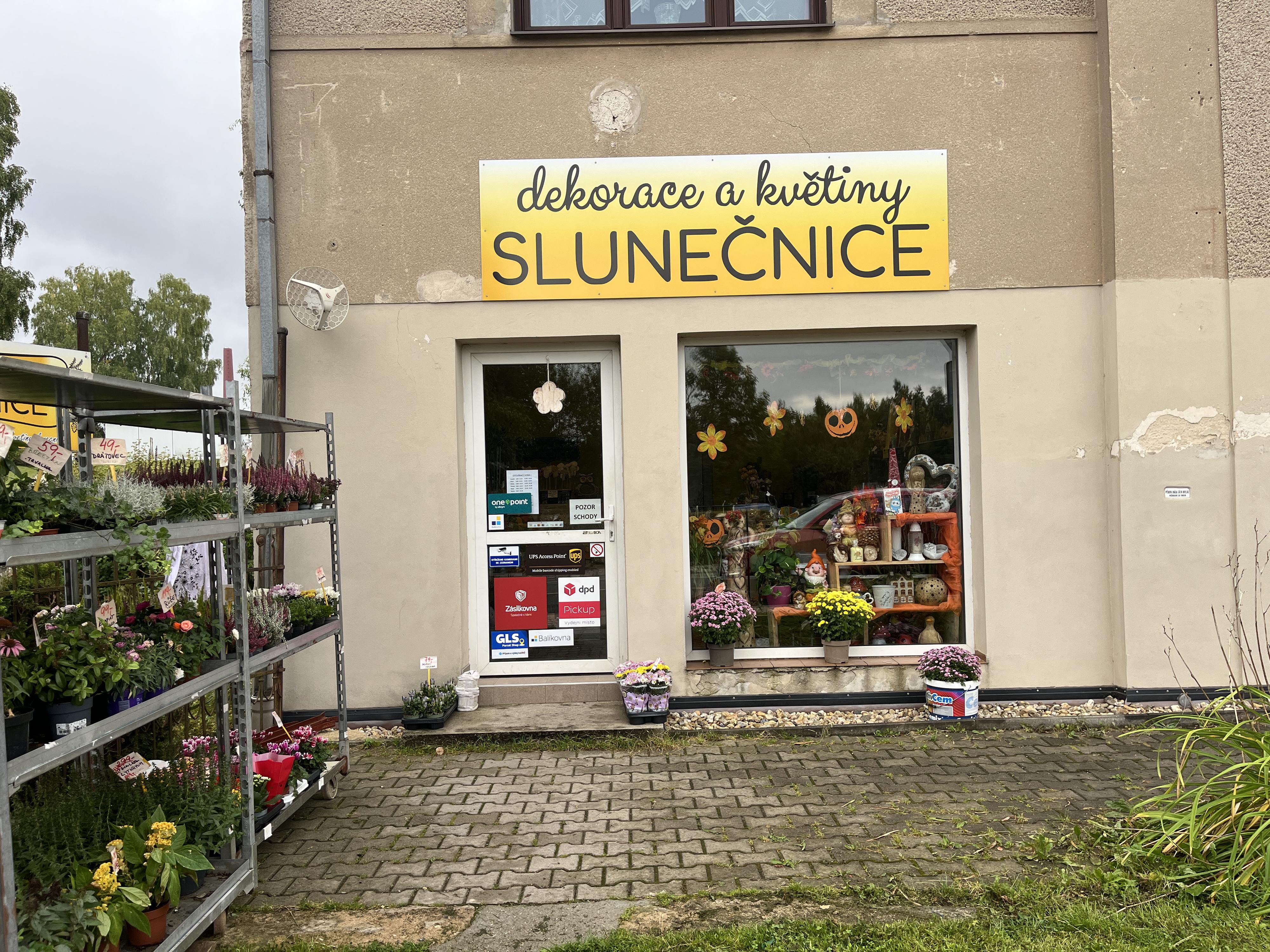 dekorace-slunecnice.cz - Bouchnerova foto 2