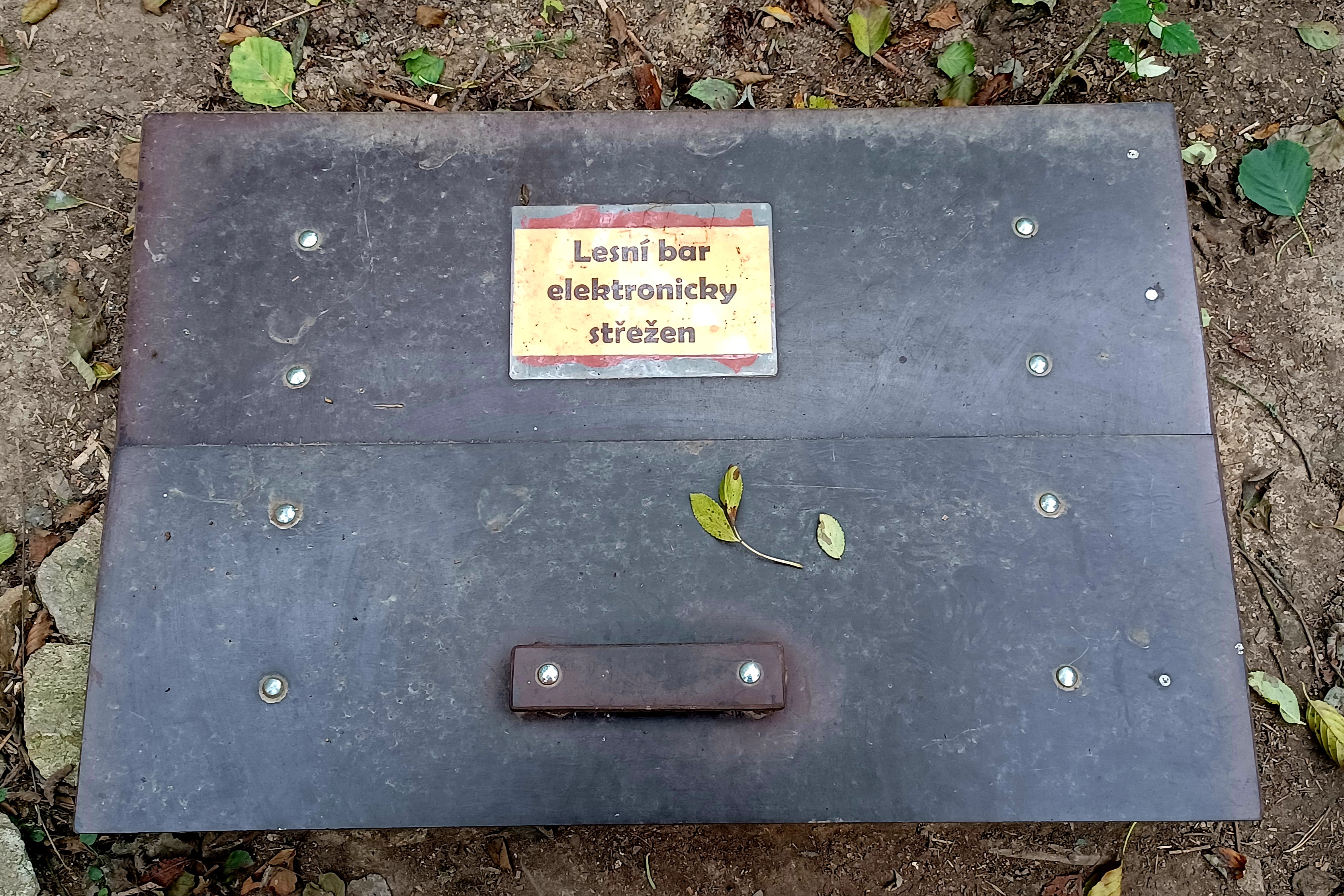 Lesní bar u Pumpy foto 3