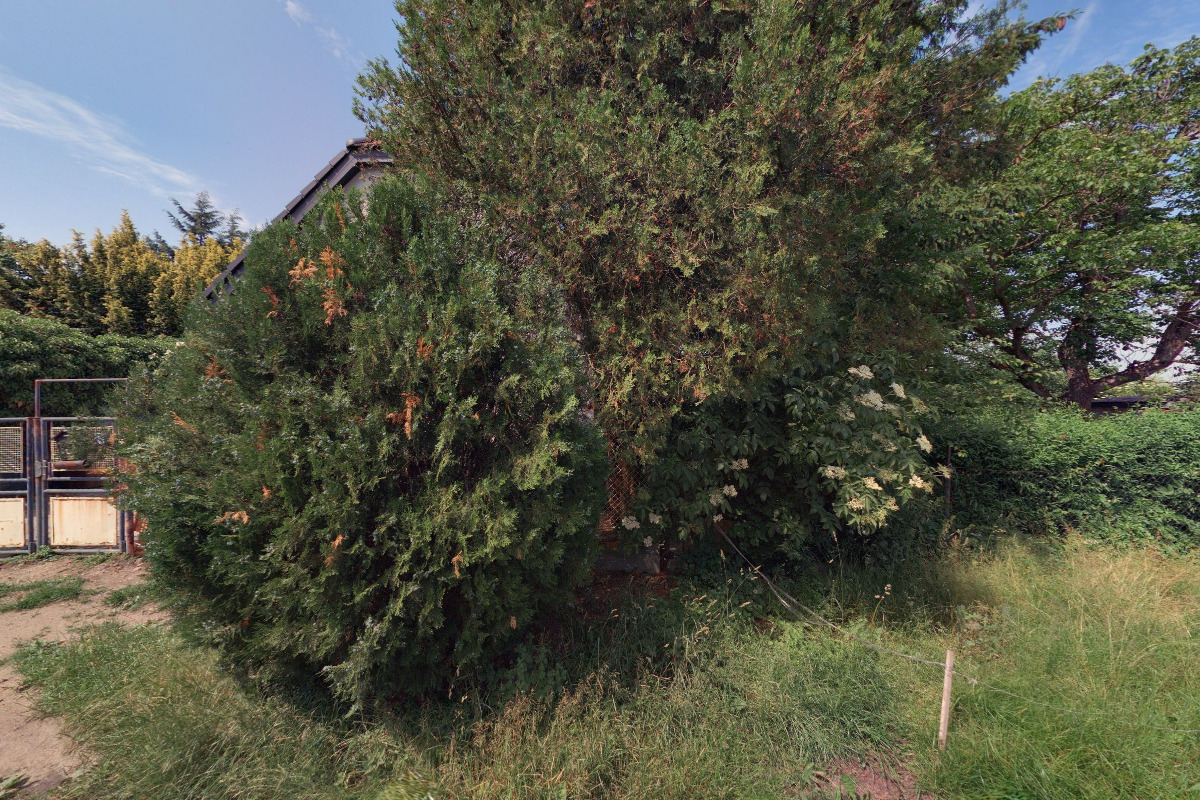 Realitní služby Jana Zárubová