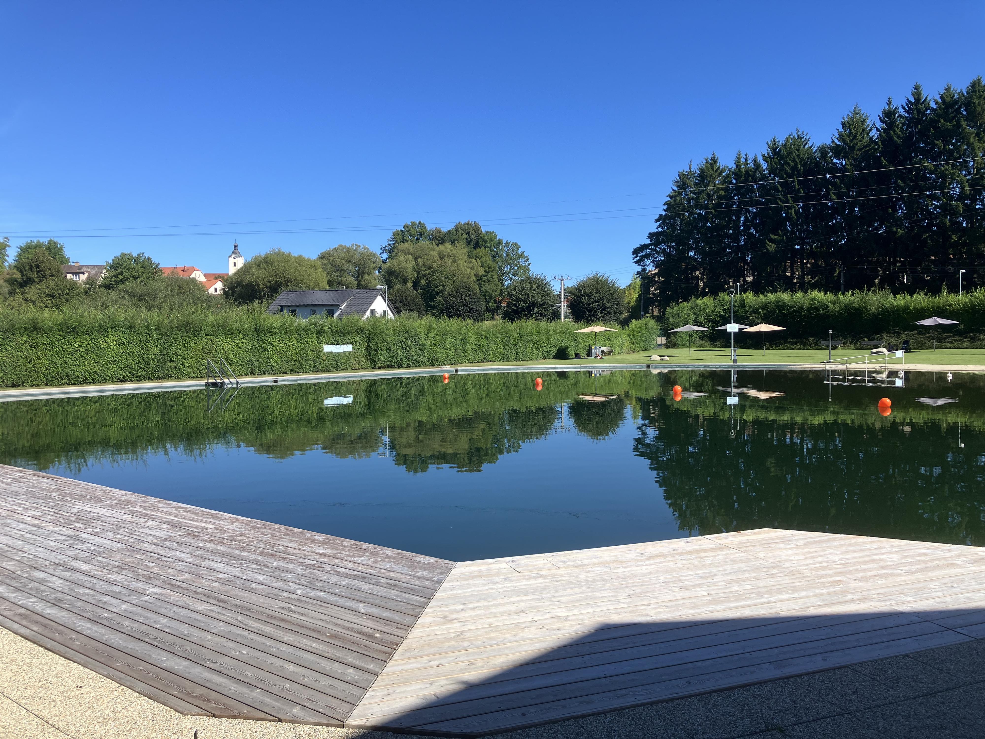 Přírodní koupaliště Divišov foto 4