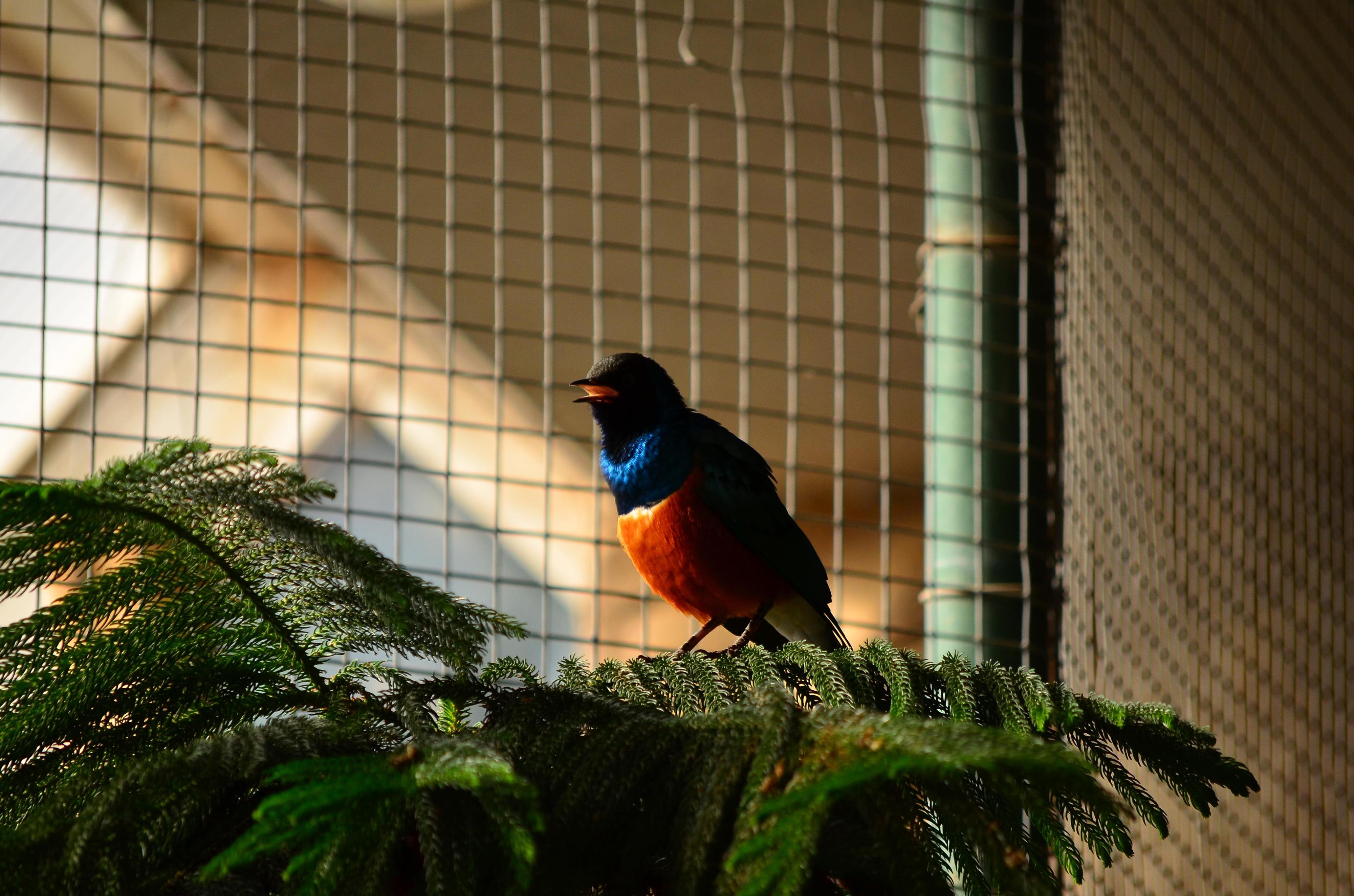 Zoo Děčín foto 2