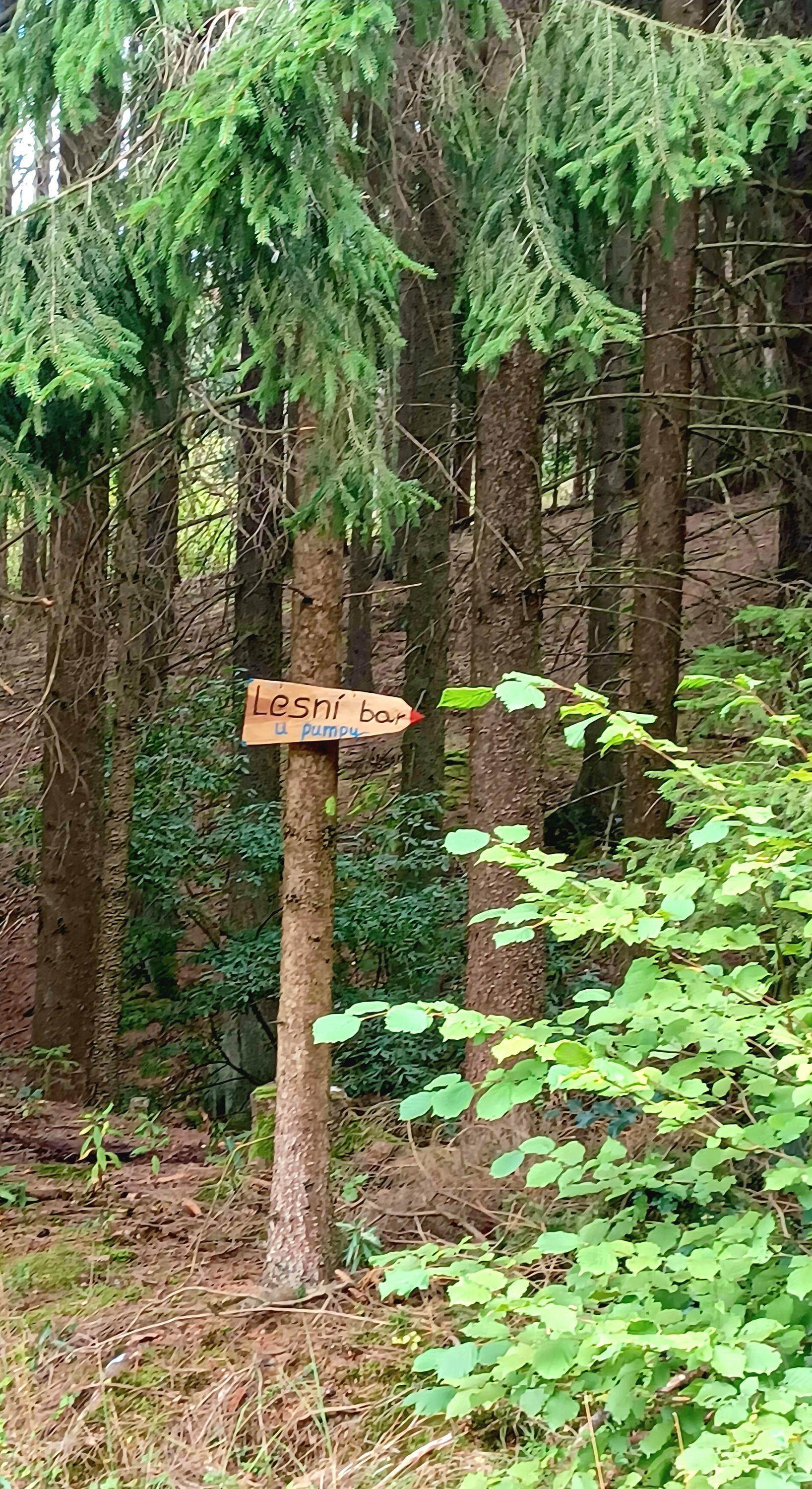 Lesní bar u Pumpy foto 1