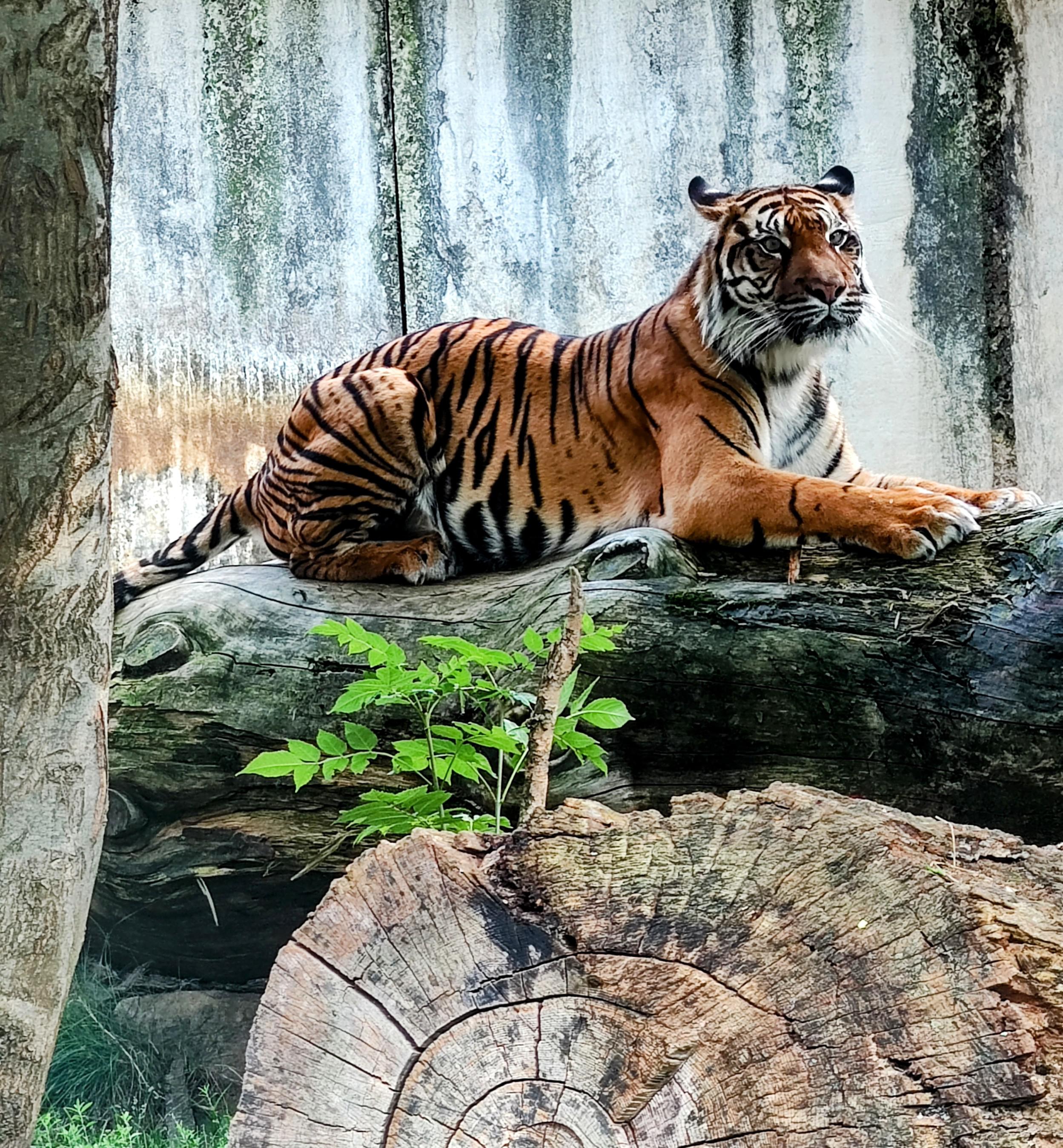 Zoo Jihlava foto 6