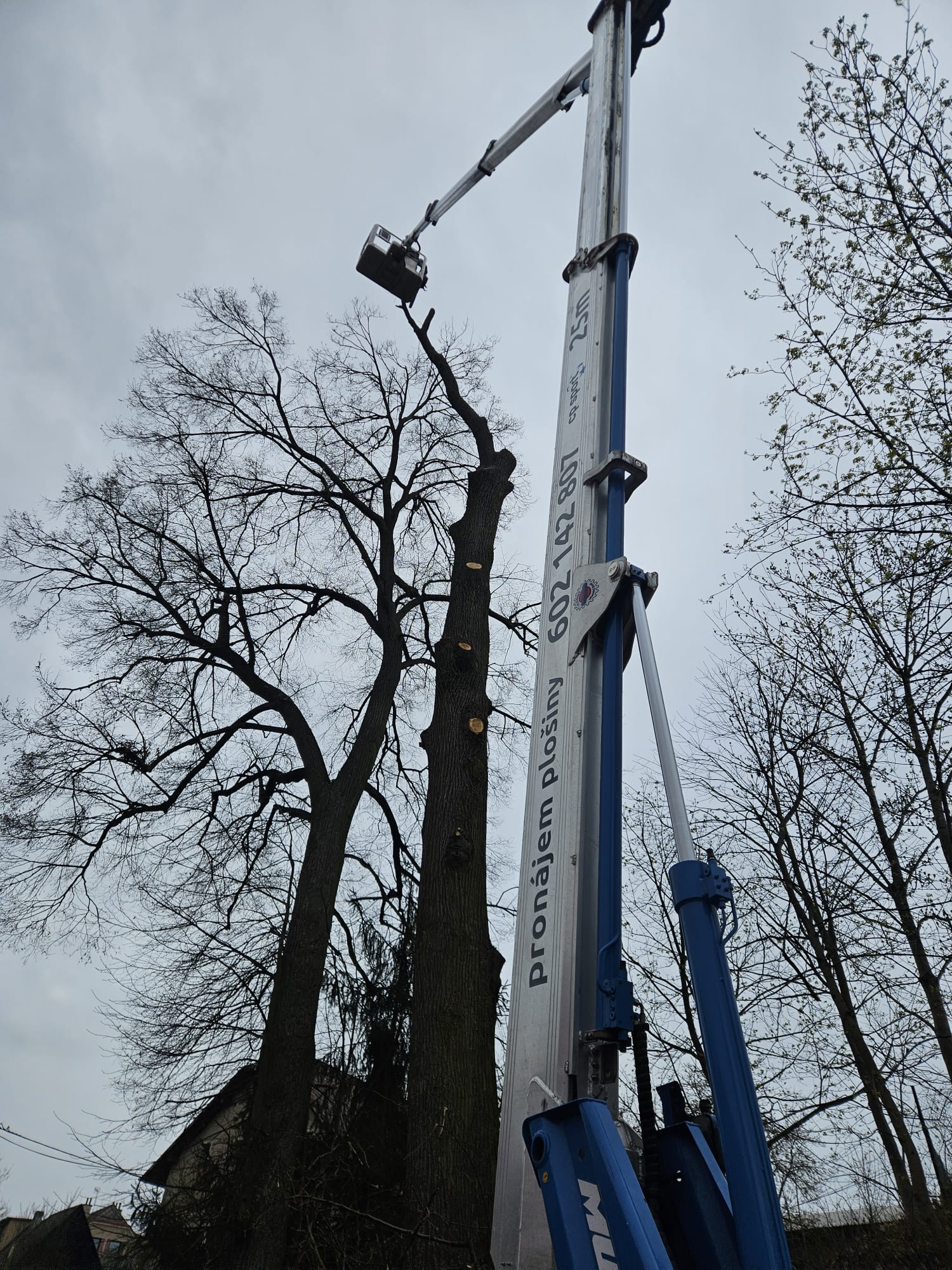 Zahradnické služby Rhizo foto 4