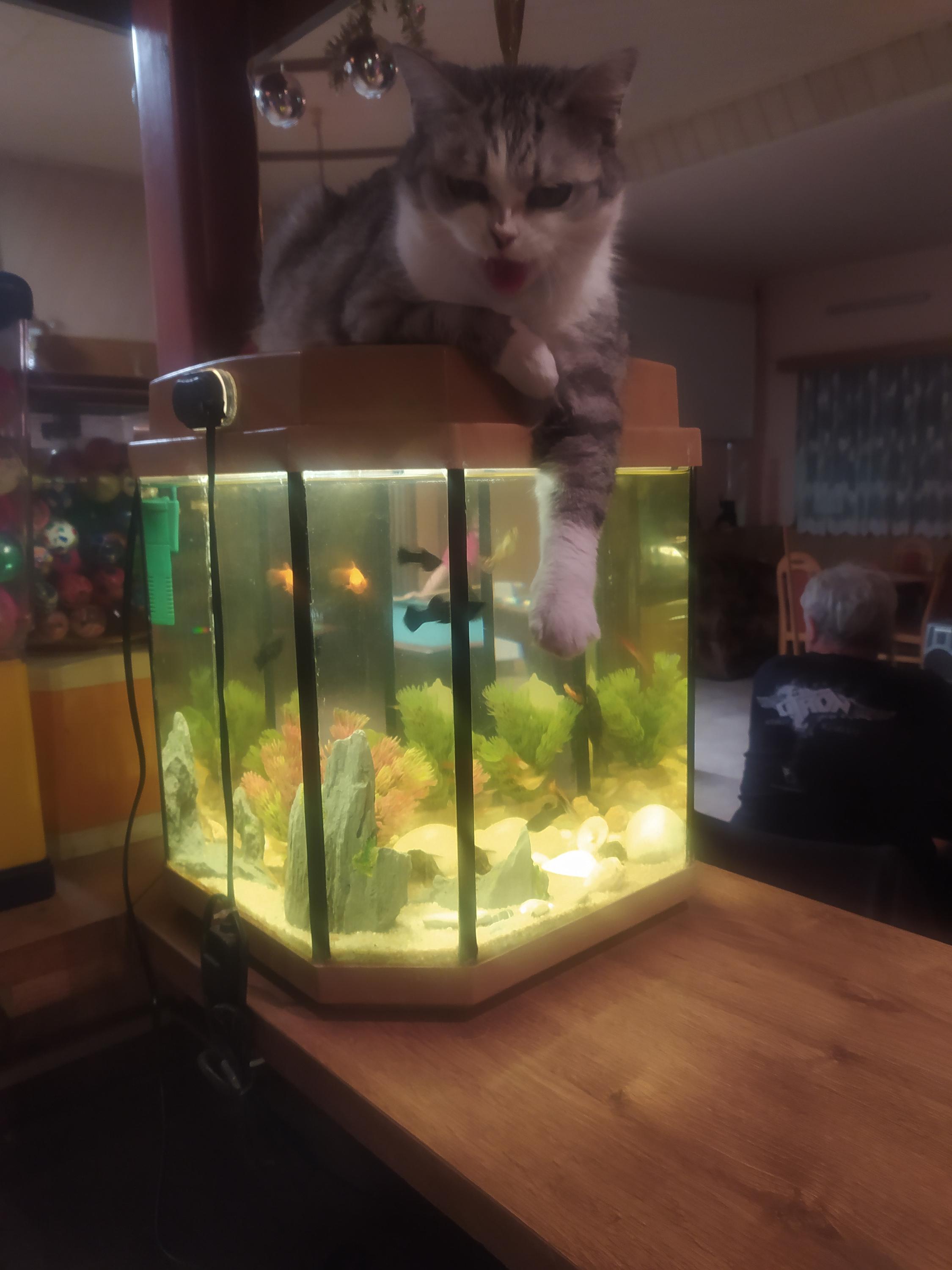 Restaurace U Nádraží foto 5