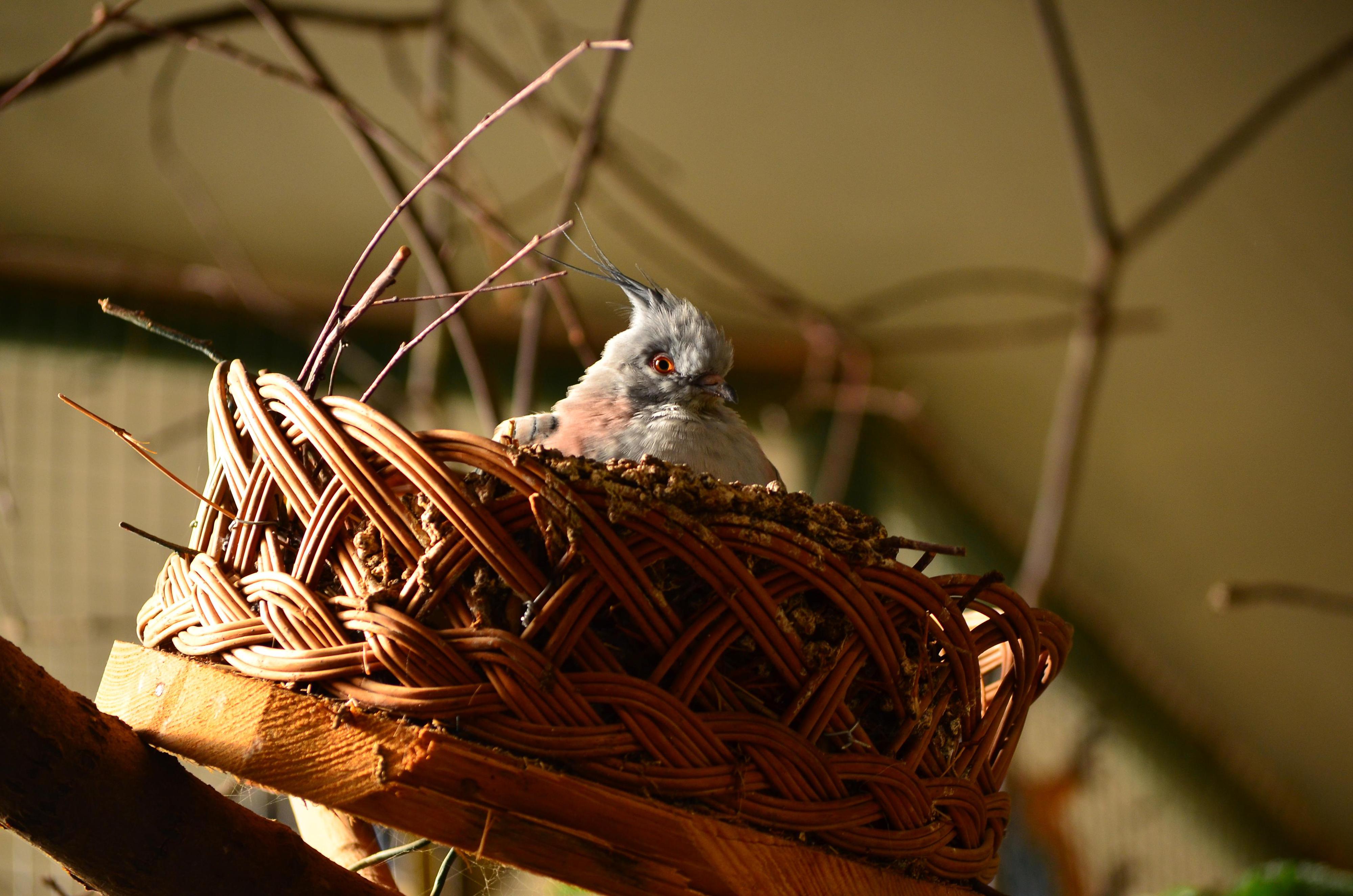 Zoo Děčín foto 5
