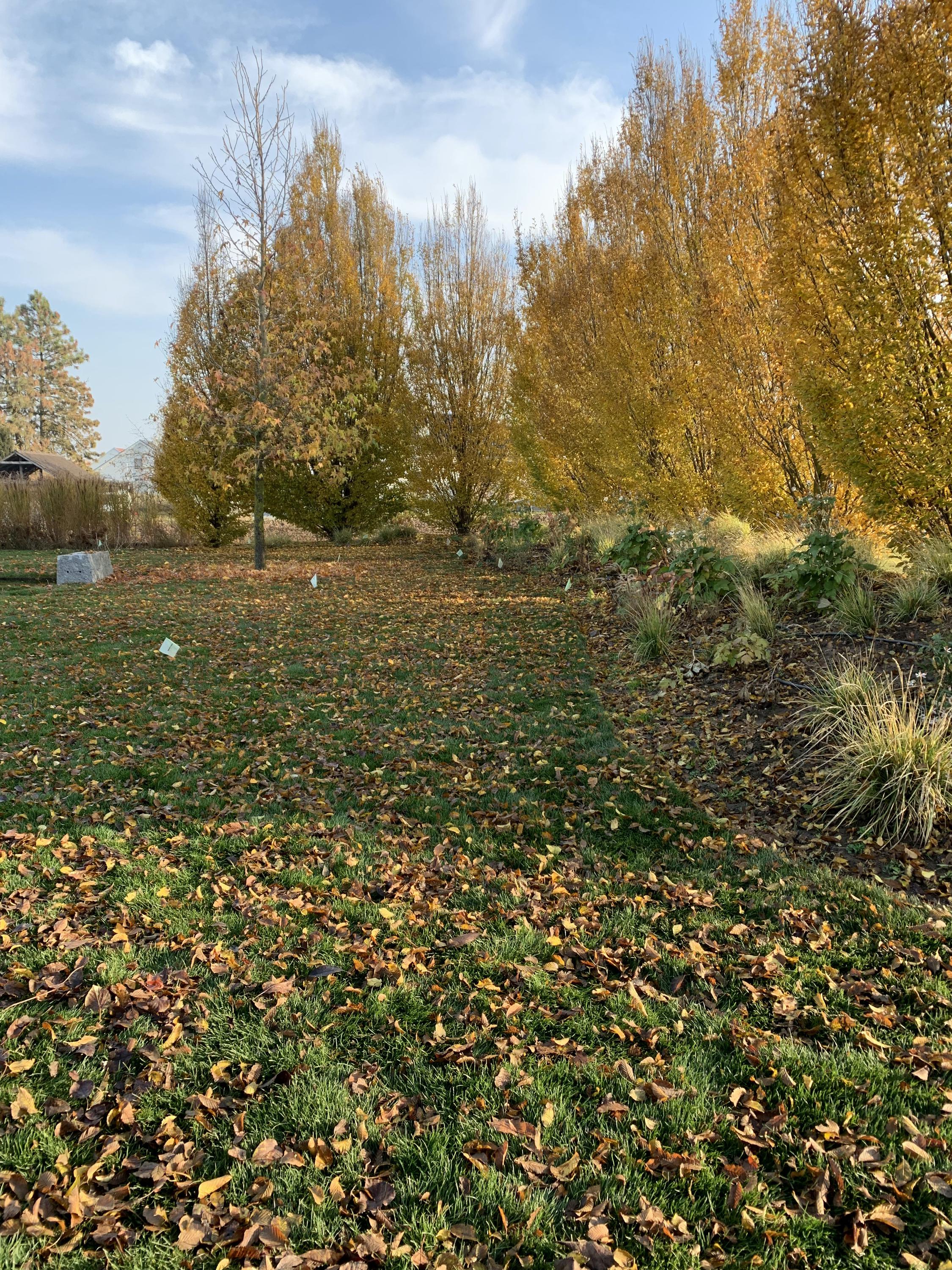 Ing. Michal Míka - Zelená zahrada foto 3