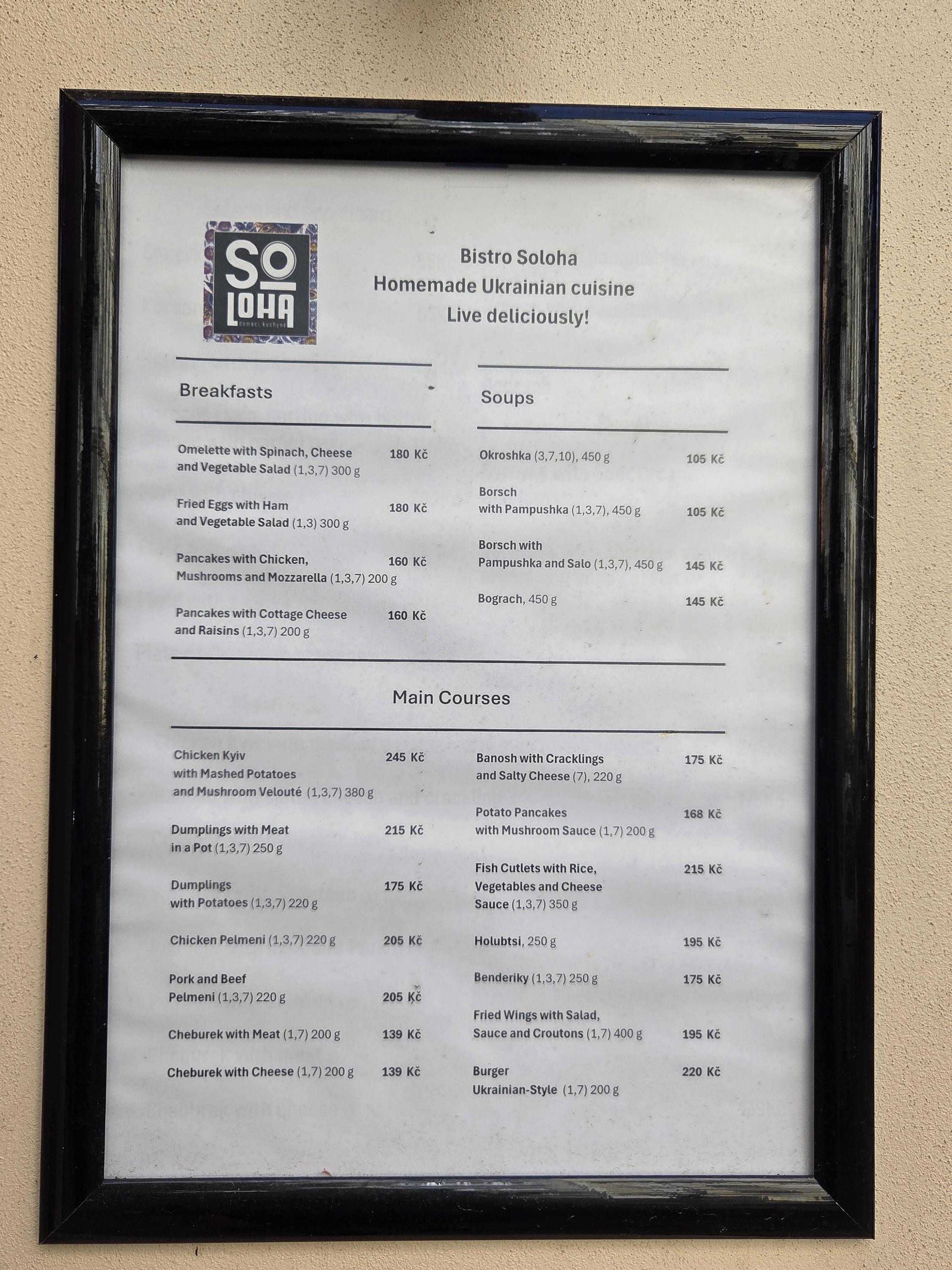 Bistro Soloha foto 4