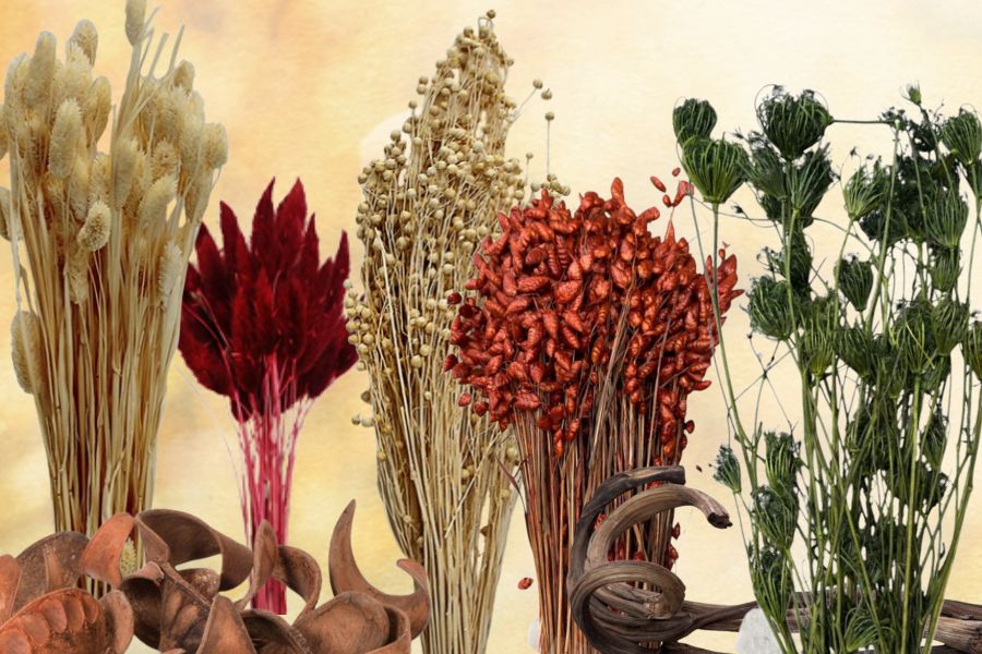 Sušené květiny a plody, stabilizované rostliny