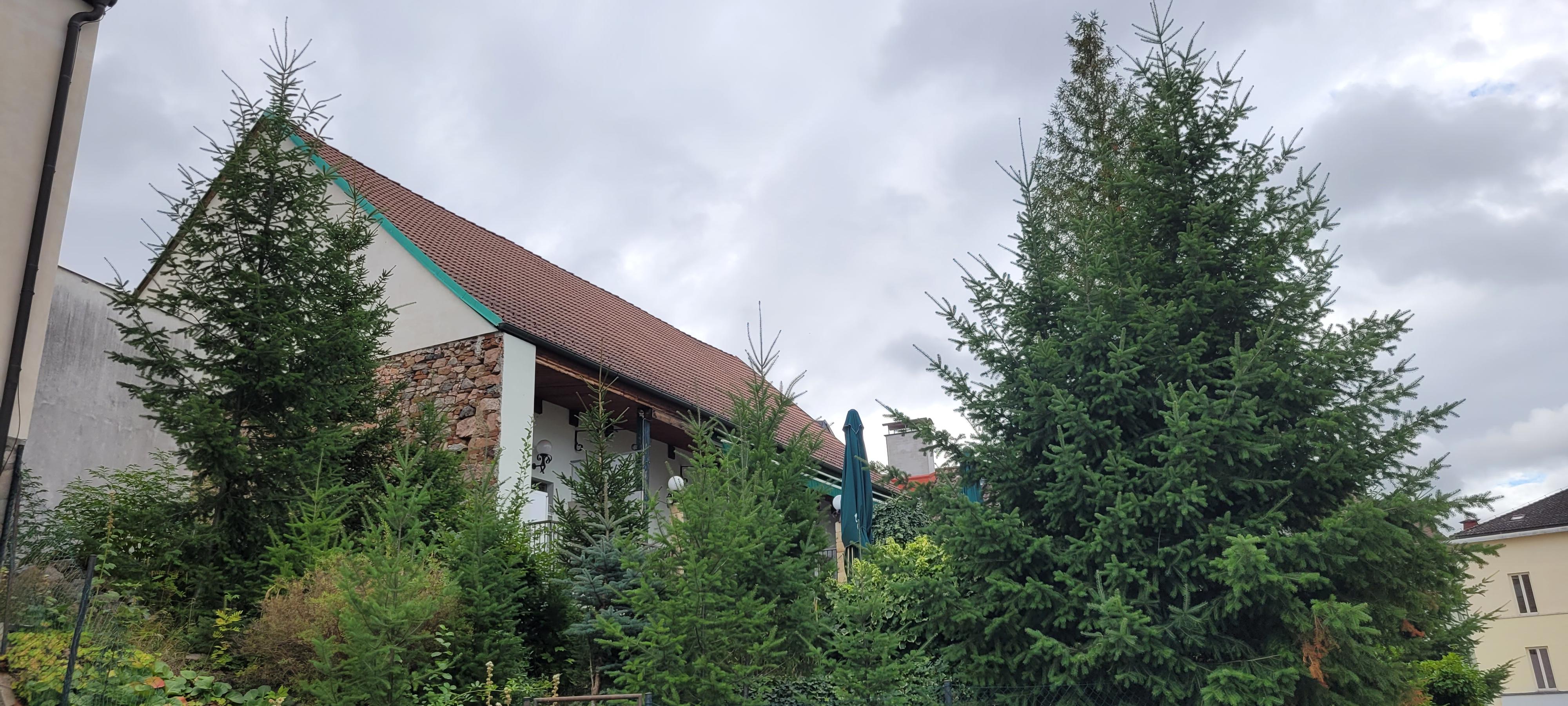 Restaurace Na Karlově foto 5