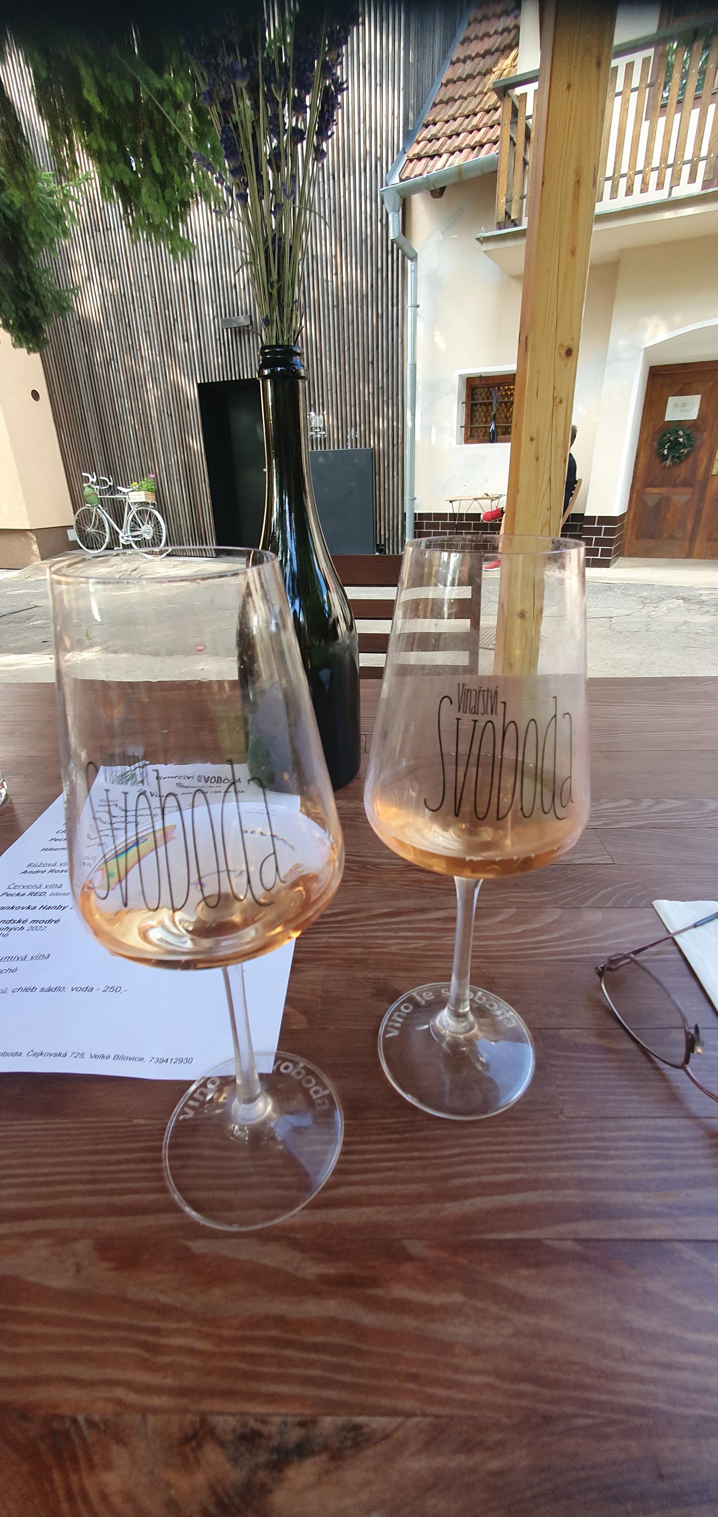 Vinařství Svoboda foto 5
