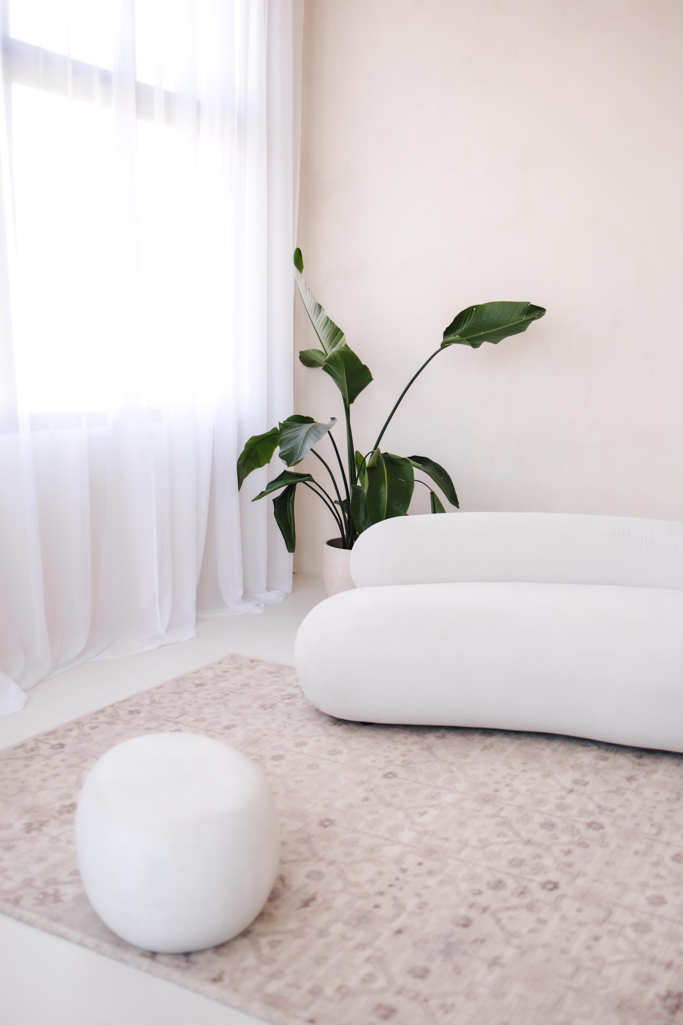 HLight Studio | Fotoateliér foto 2