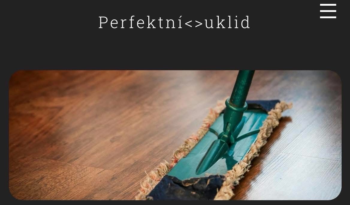 Perfektní úklid foto 2