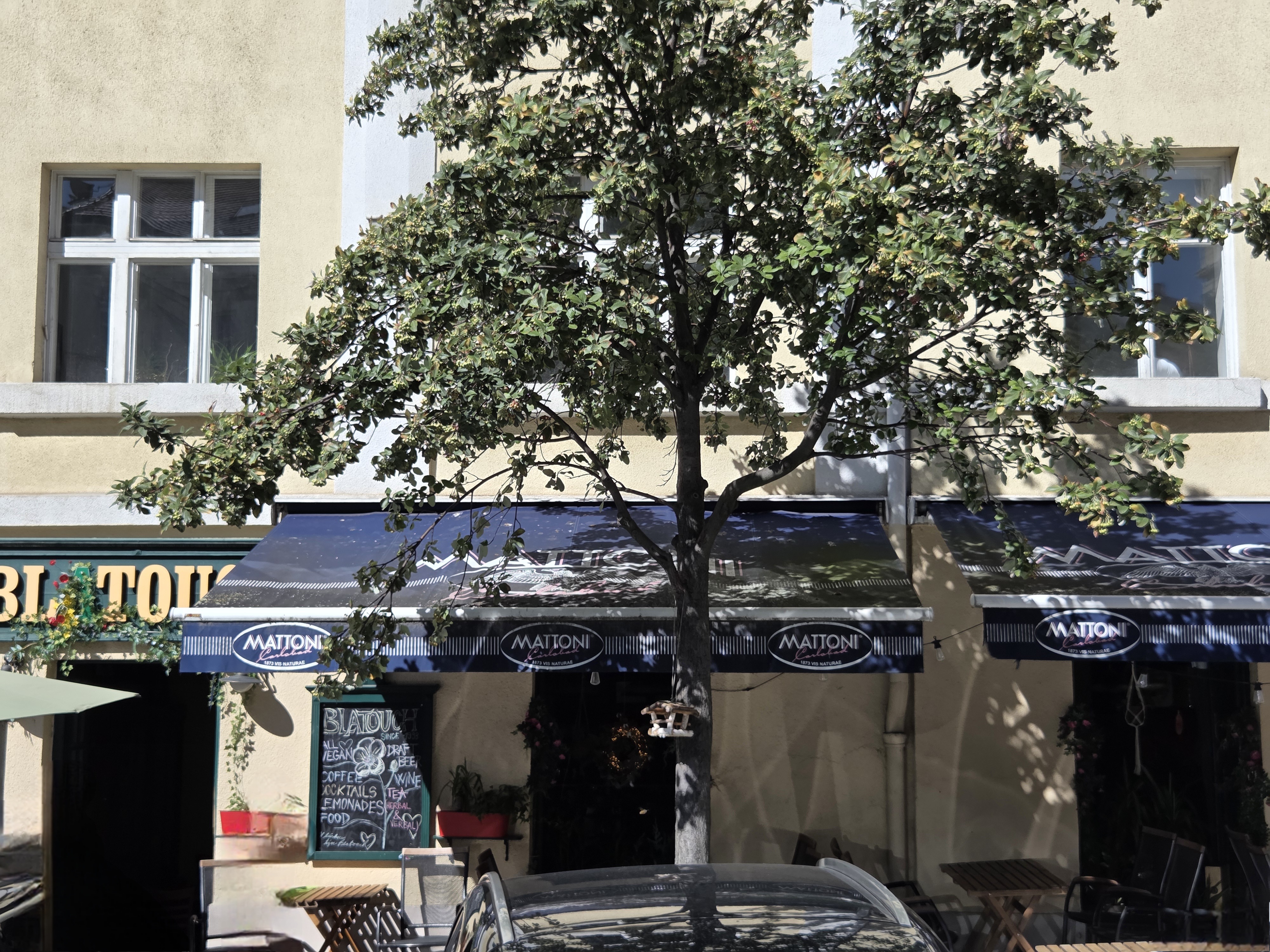 Literární kavárna Blatouch foto 5