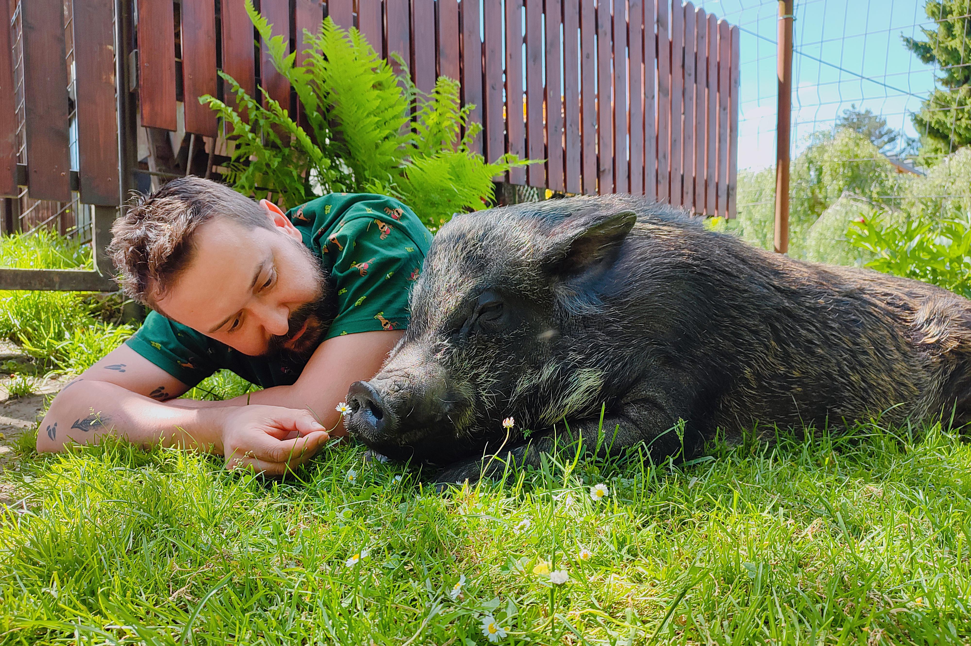 Azyl Štětinka, z. s.