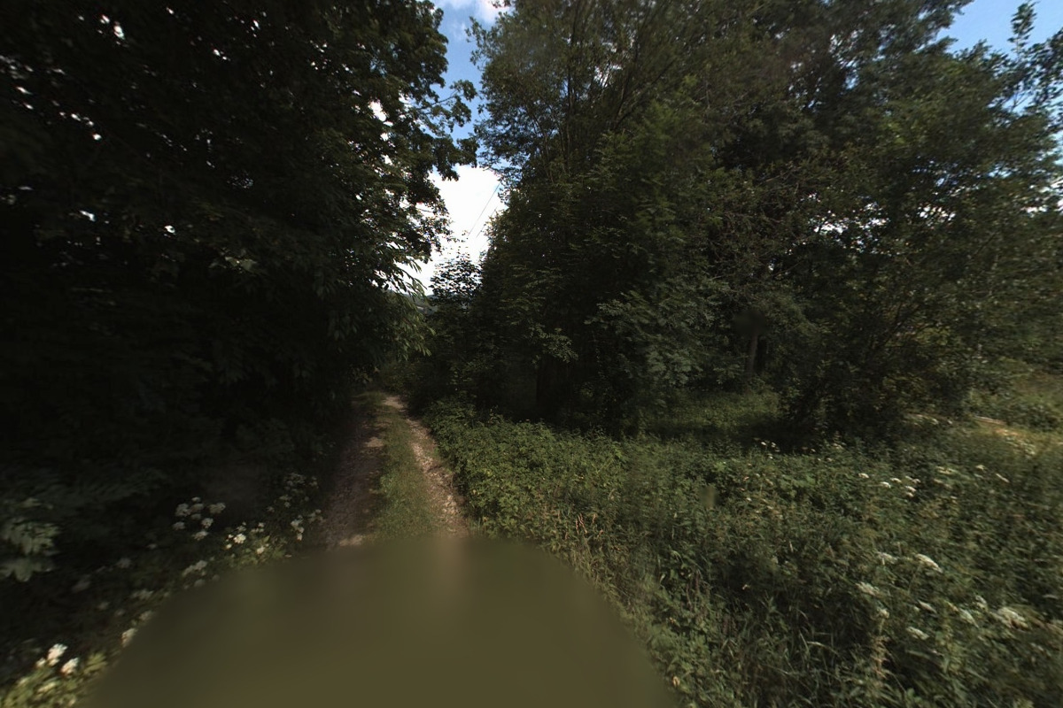 Lesní bar u Mauglího