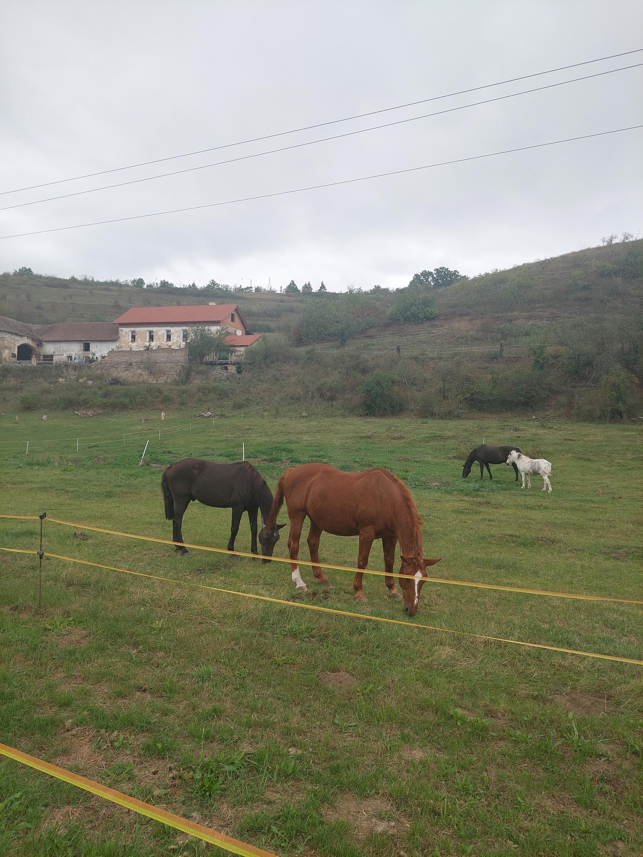 Občerstvení V Kozle foto 2