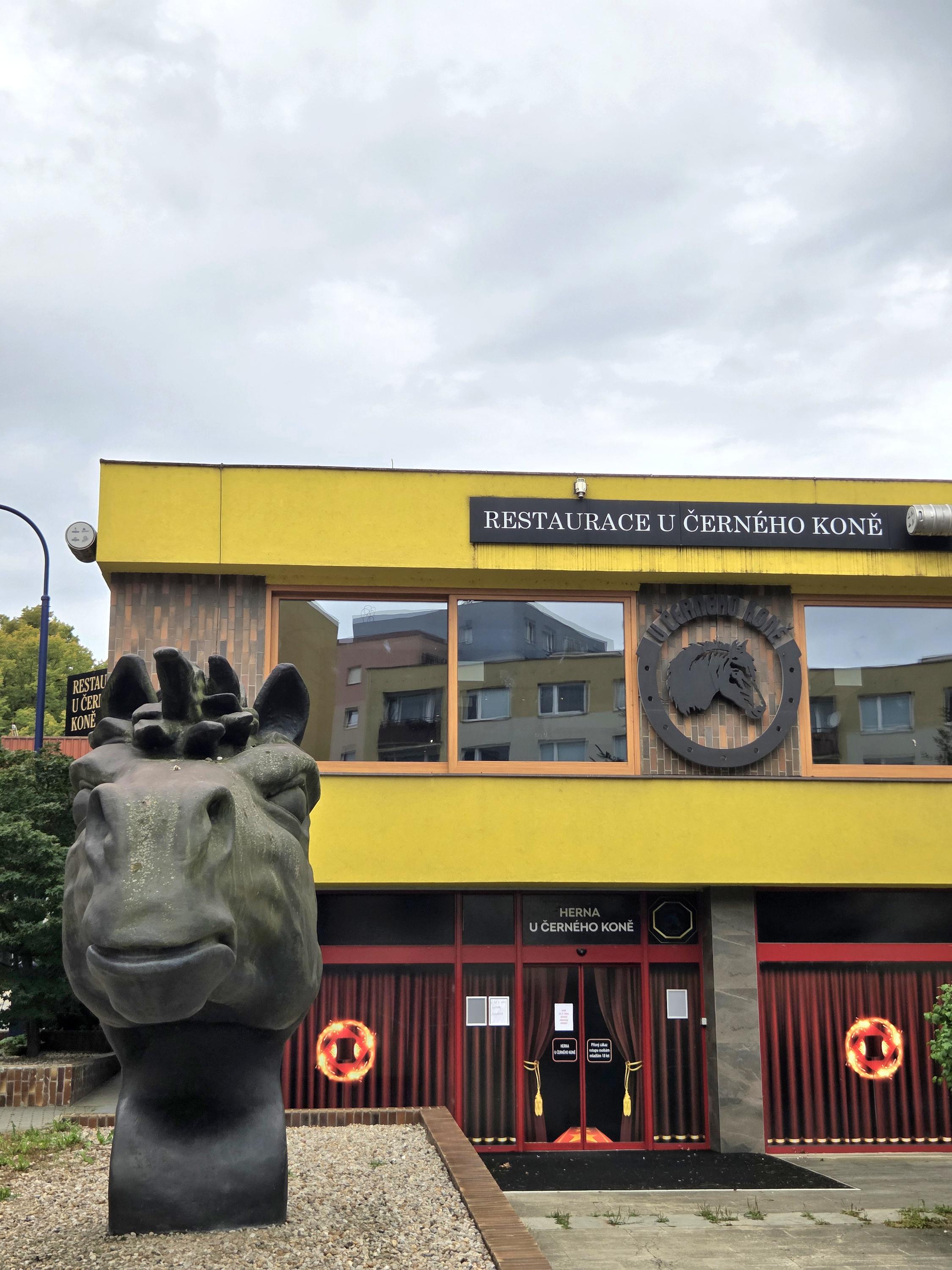 Casino - bar U Černého koně foto 3