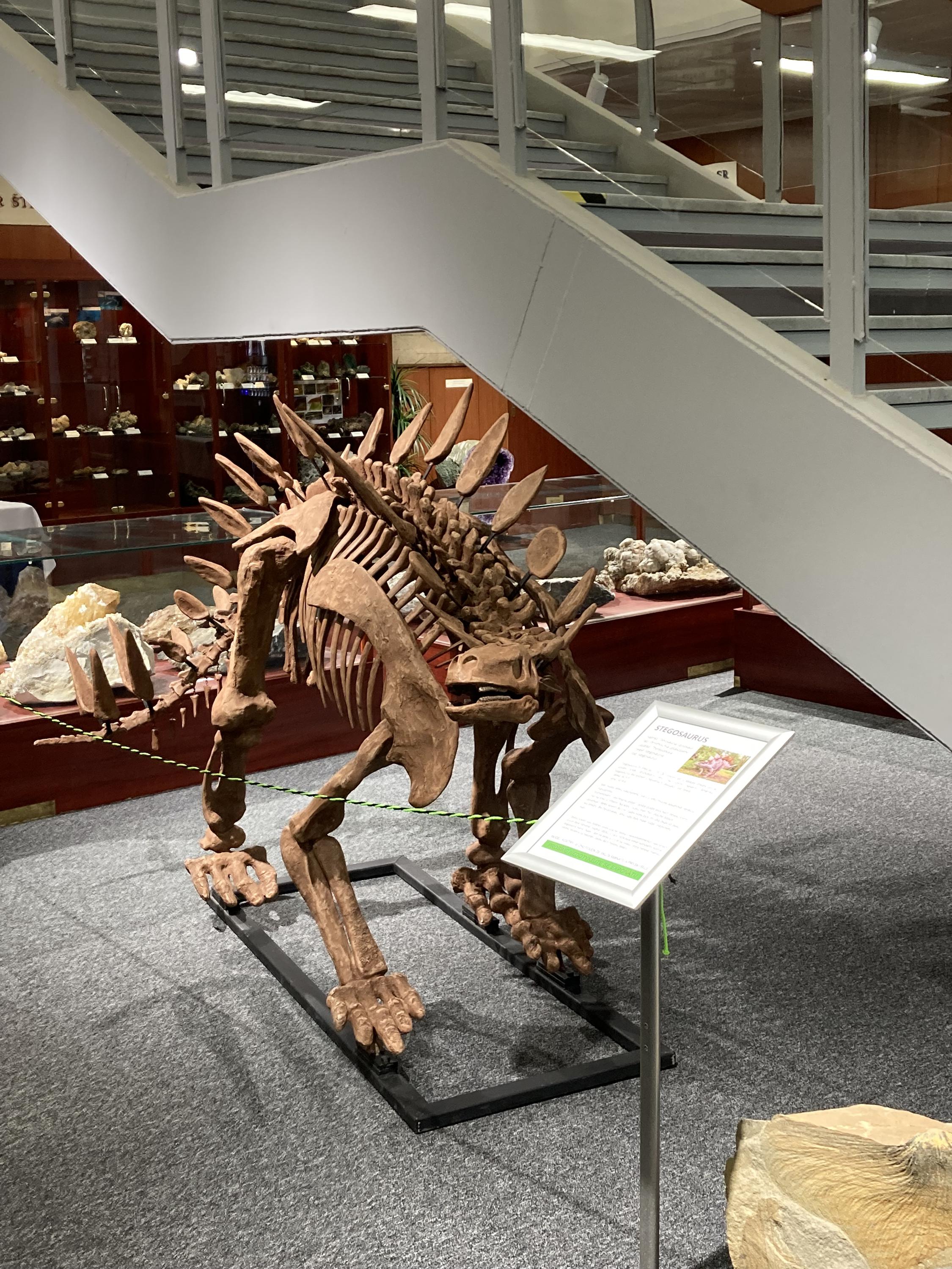 Geologický pavilon Prof. F. Pošepného foto 5