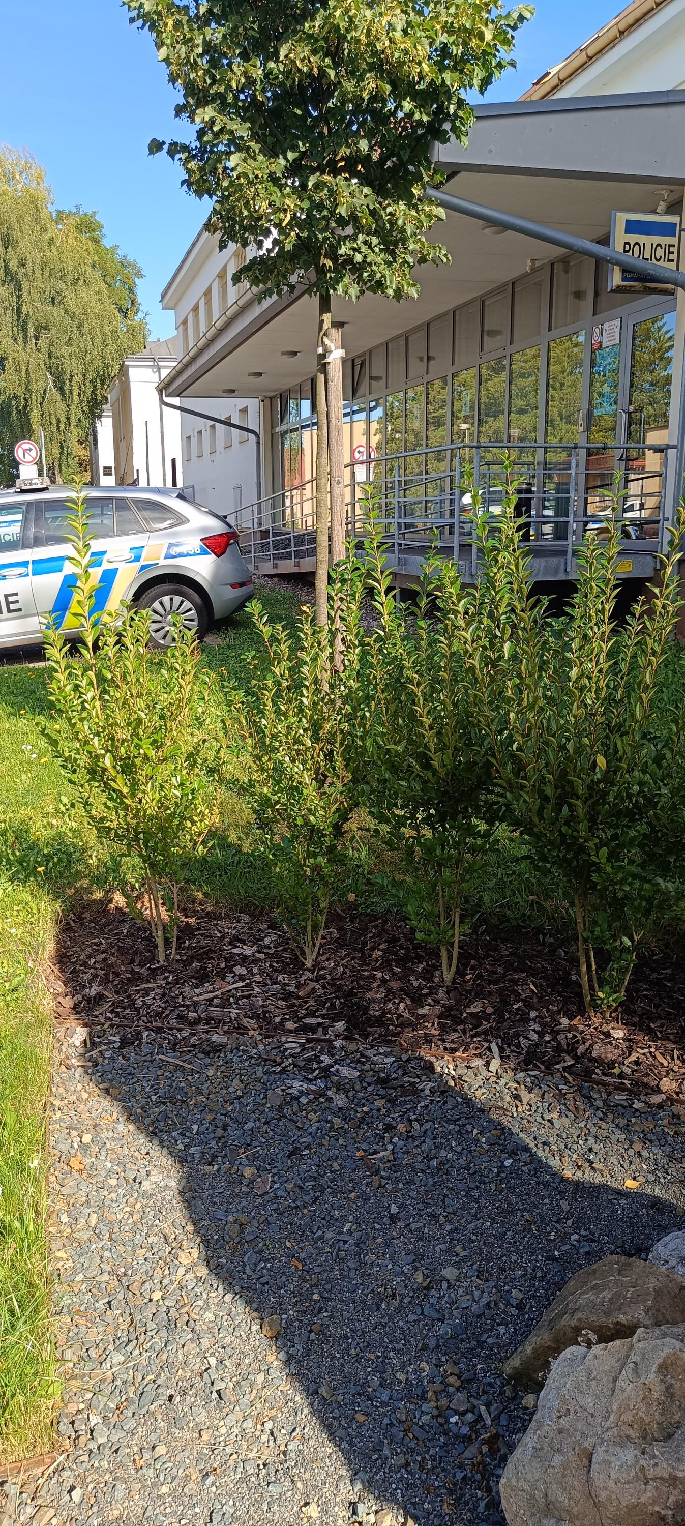 Policie ČR - Obvodní oddělení Trutnov foto 5