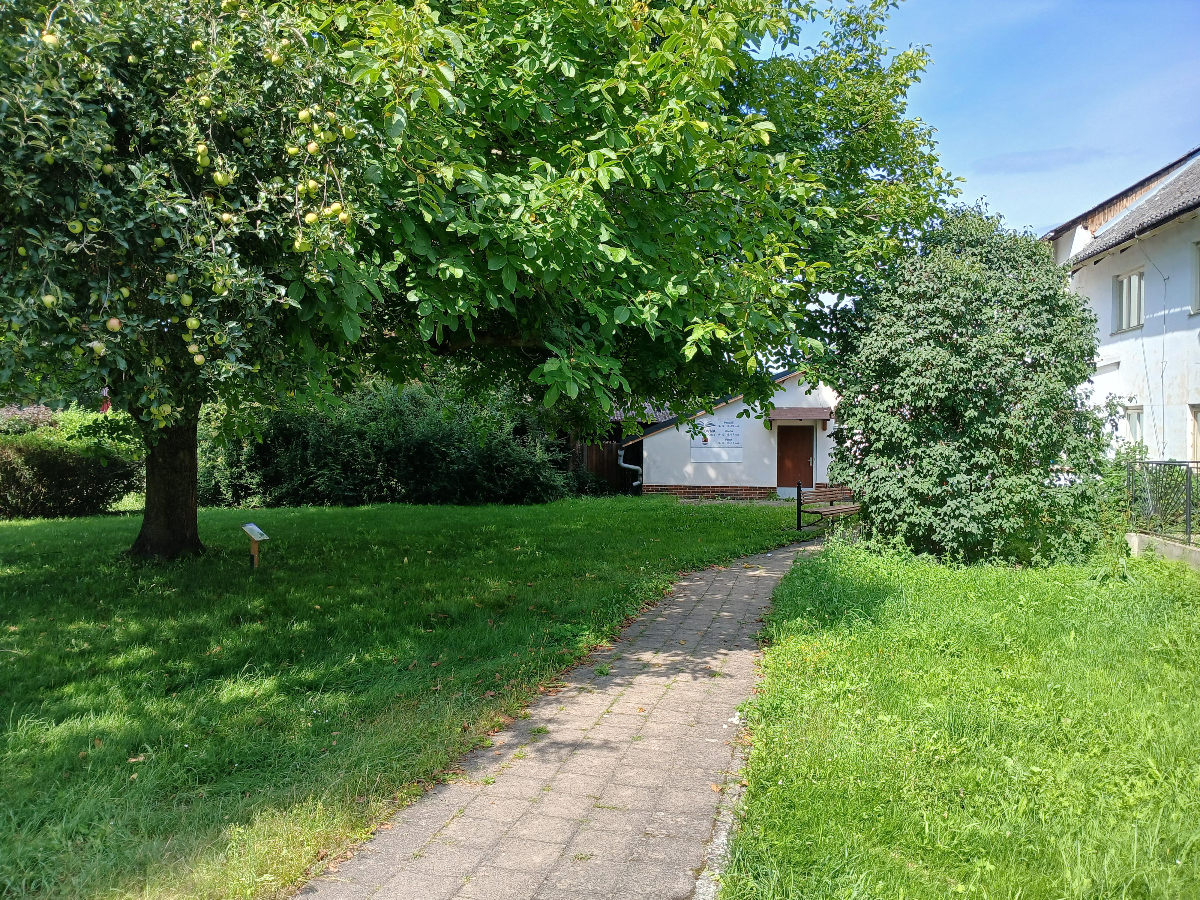 Místní knihovna Velké Losiny foto 2