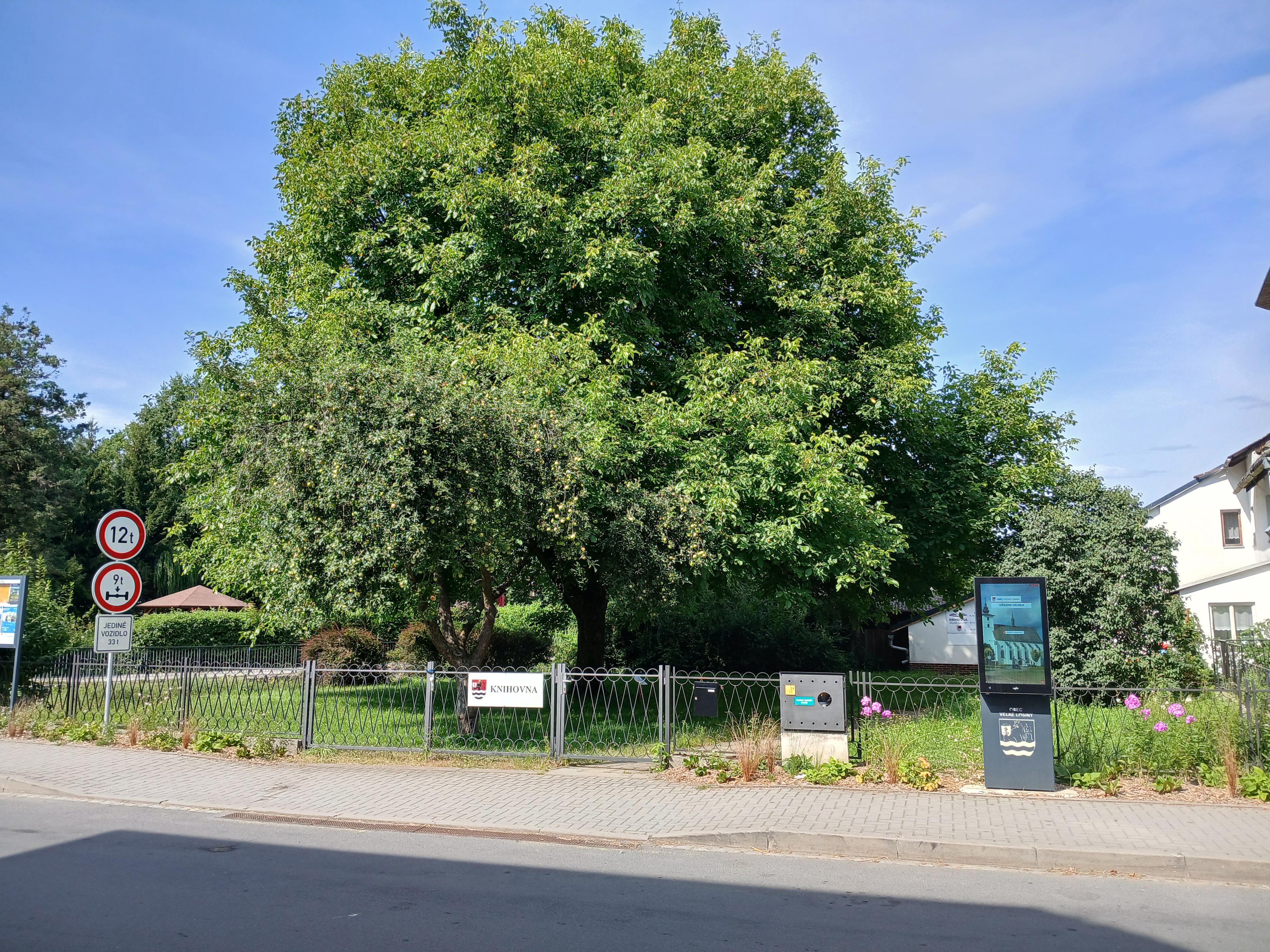 Místní knihovna Velké Losiny foto 4