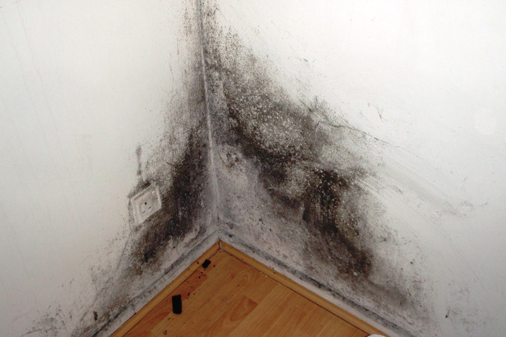 Dezinfekce škodlivých mikroorganismů