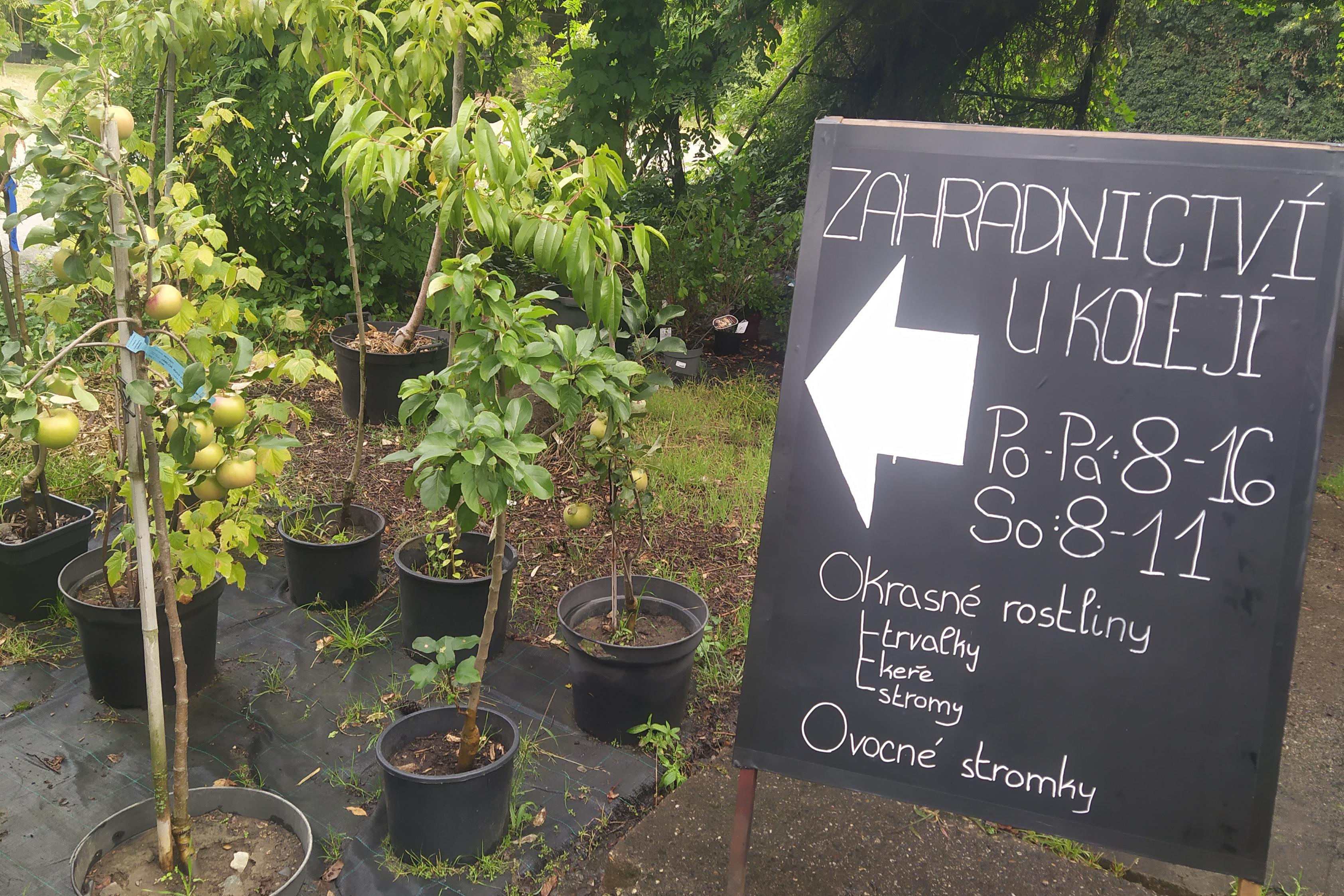 Zahradnictví U Kolejí