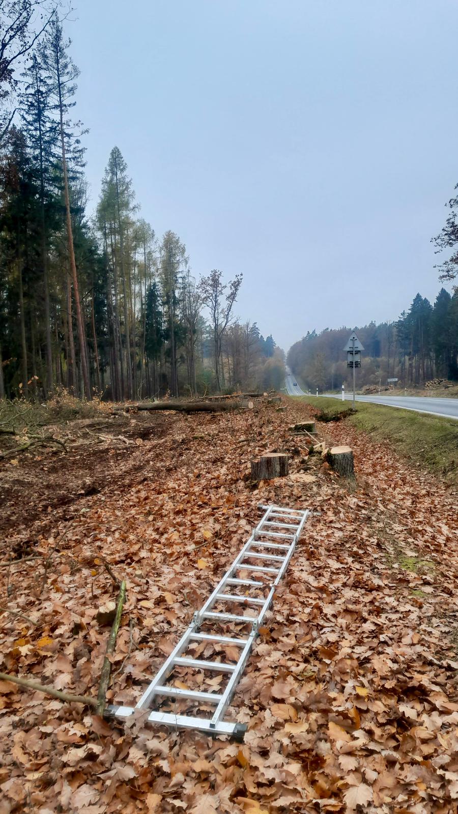 Dřevorubec Věroslav Varmuža foto 4