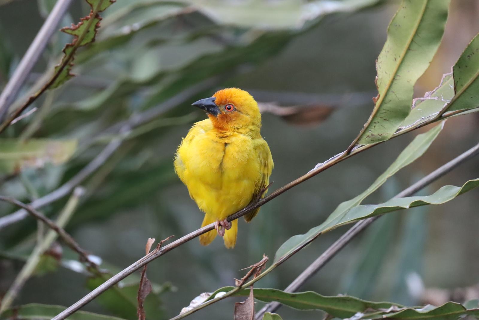 Nature Responsible Safari Czech Republic s.r.o. foto 3