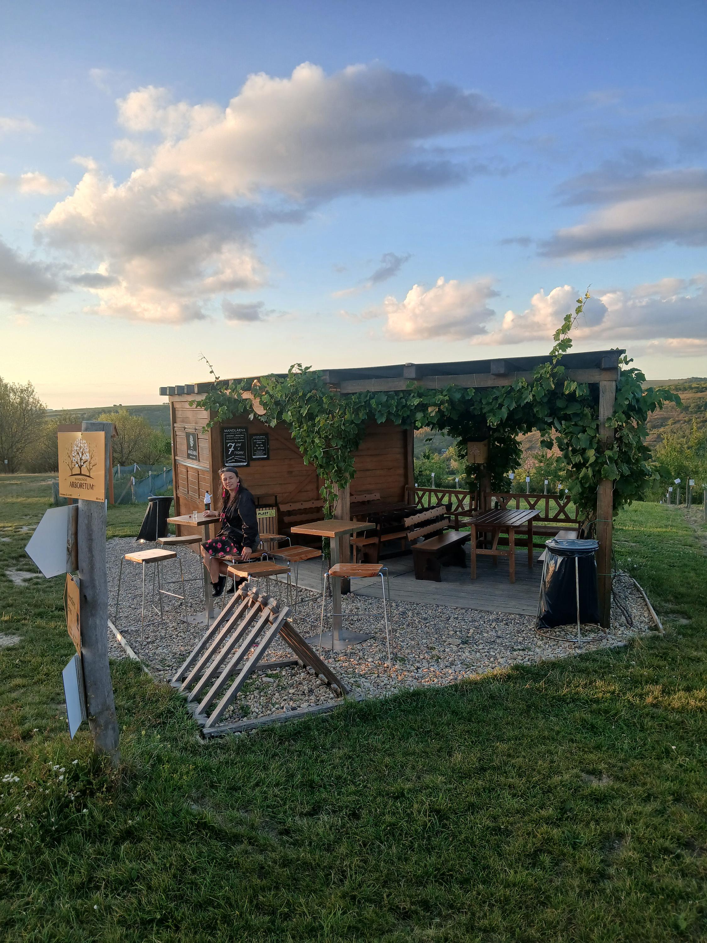 Mandlárna - stánek v sadu foto 3