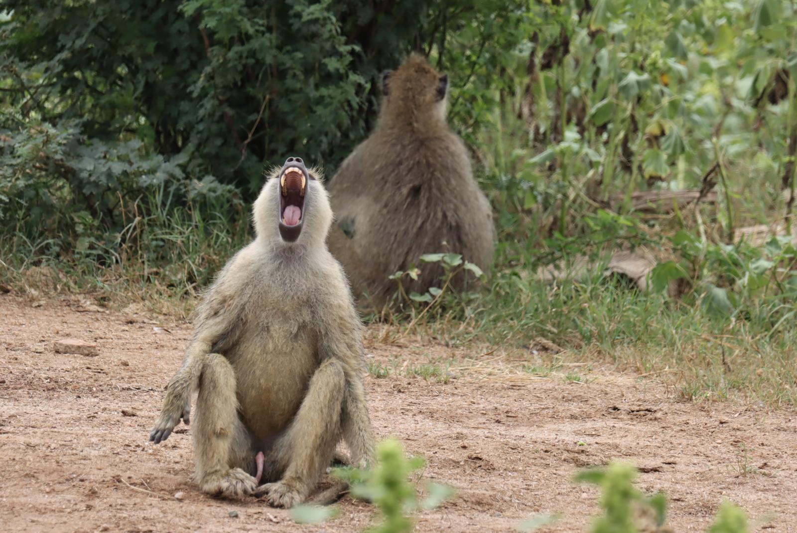 Nature Responsible Safari Czech Republic s.r.o. foto 6