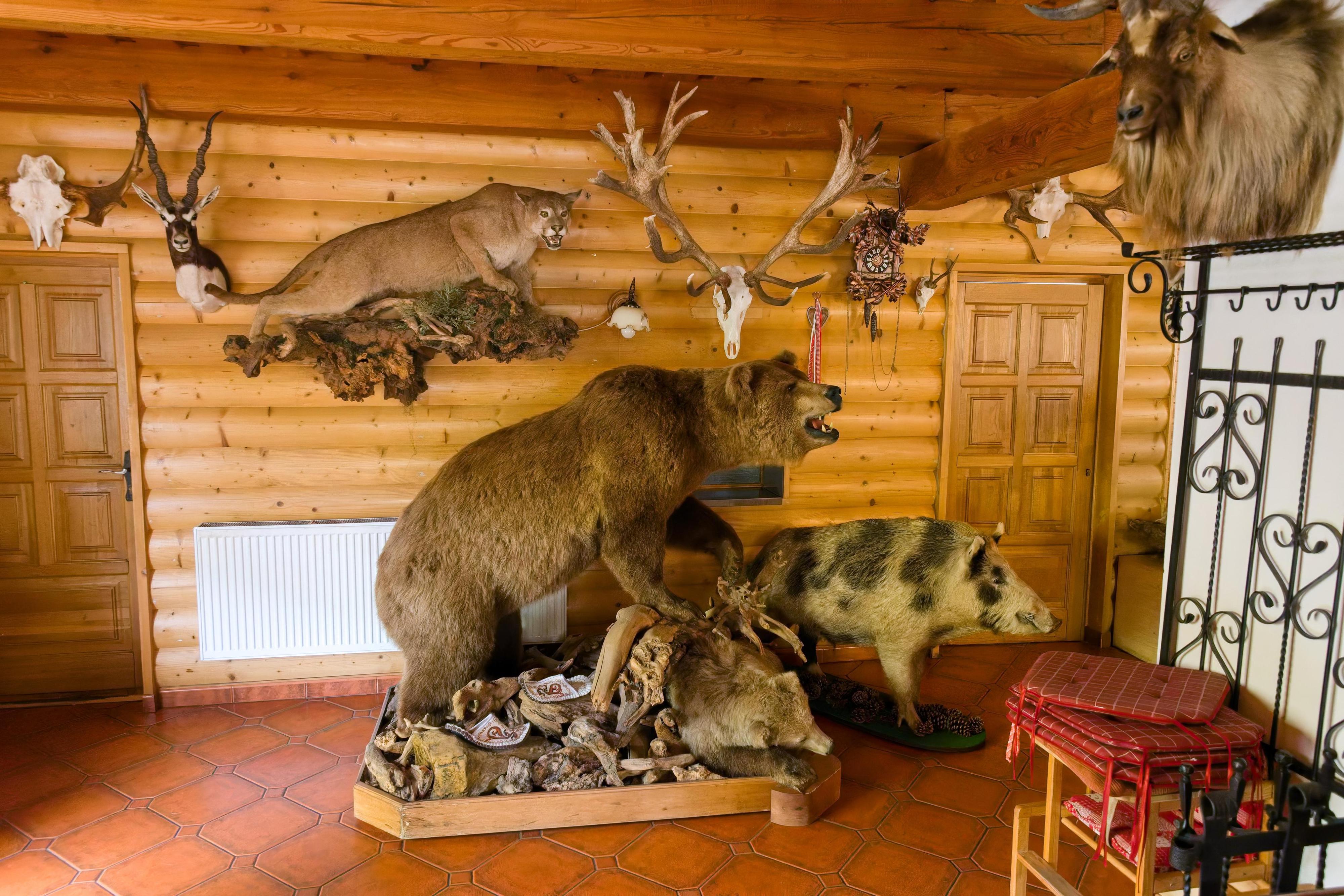 Pension Grizzly foto 6