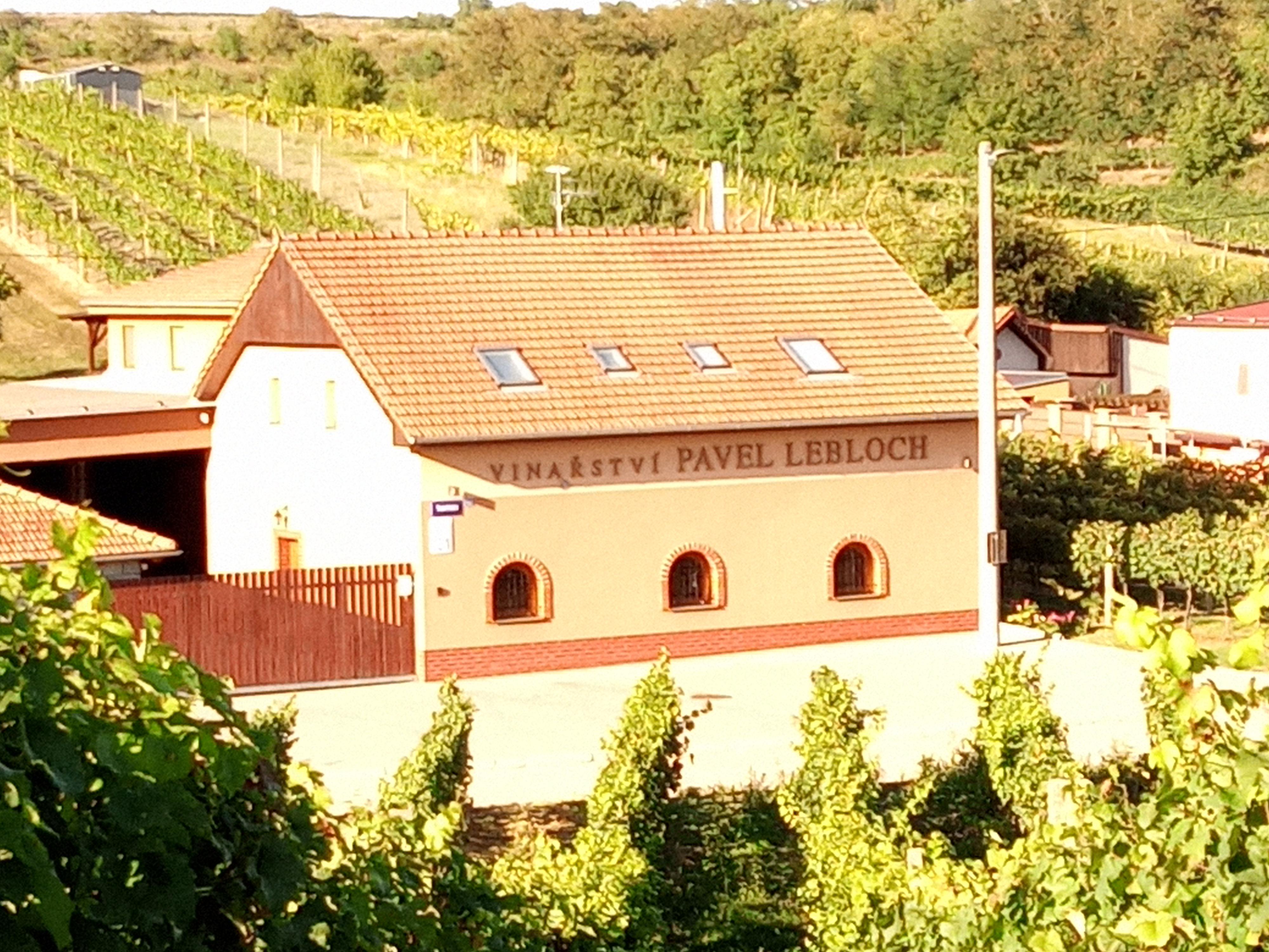 Vinařství Pavel Lebloch, s.r.o. foto 6