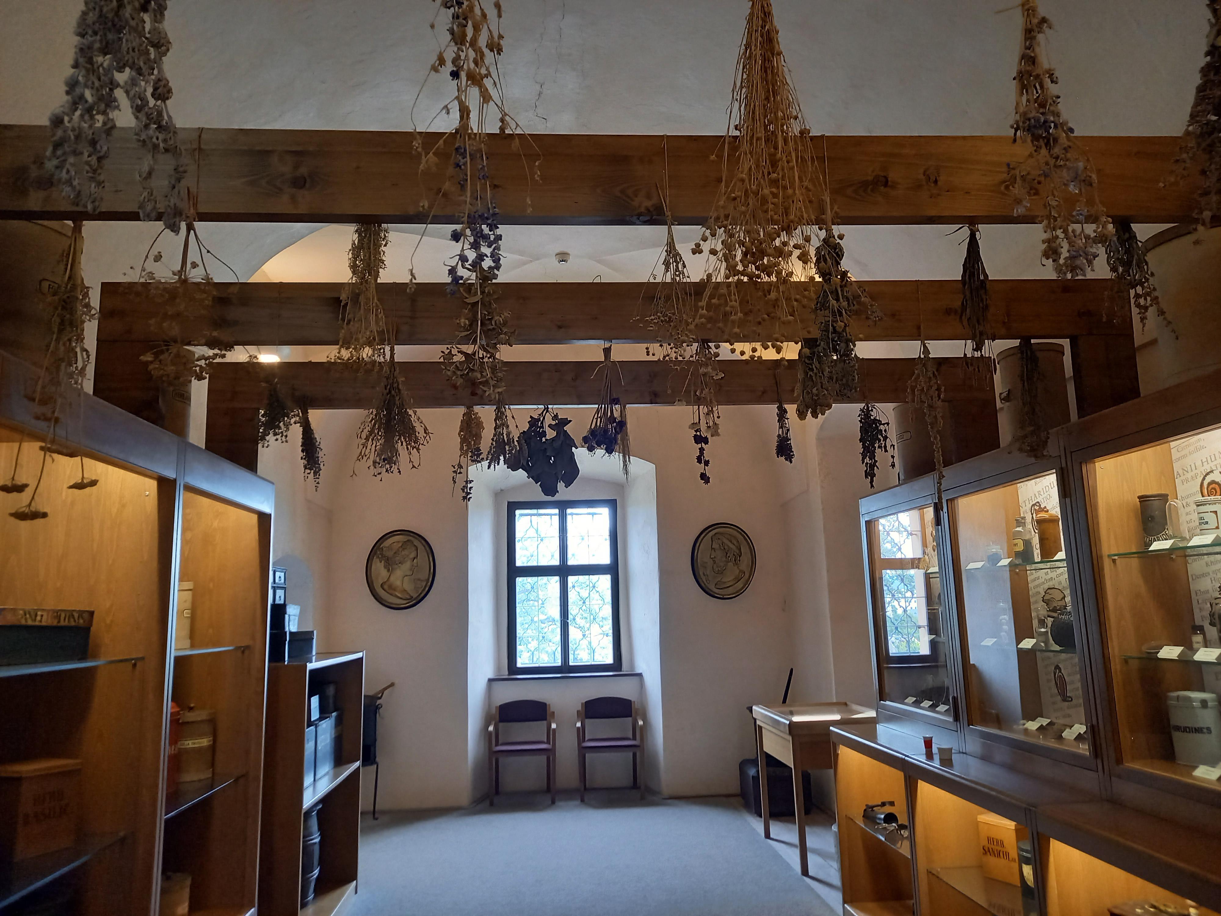 České farmaceutické muzeum Farmaceutické fakulty - Univerzita Karlova foto 6