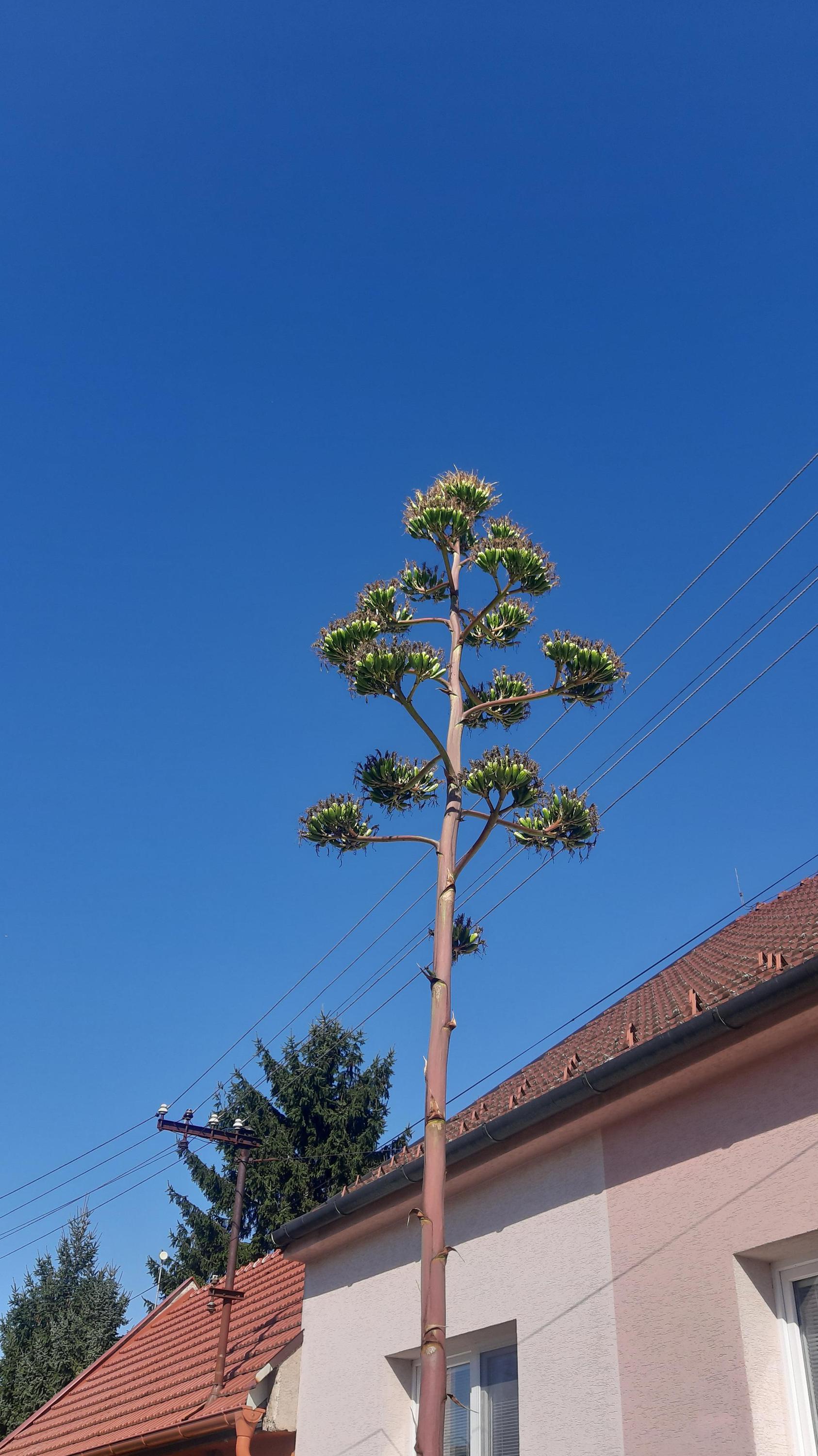 MŠ Kostelany nad Moravou foto 5