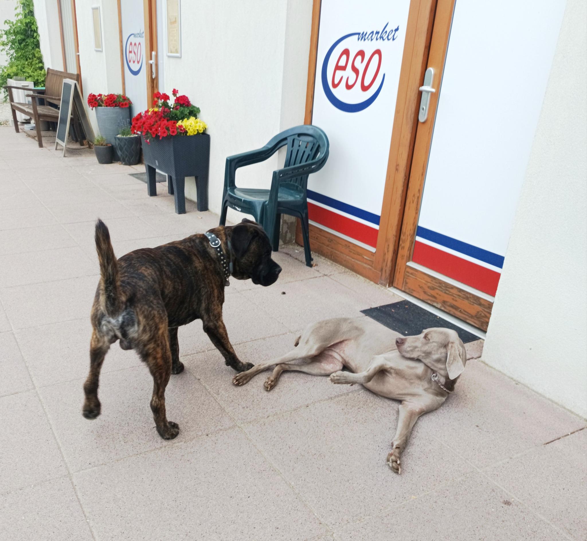 Koloniál Talpa Market foto 3