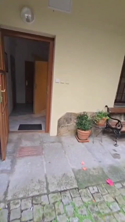 Dotykrásy foto 2 (náhled videa)