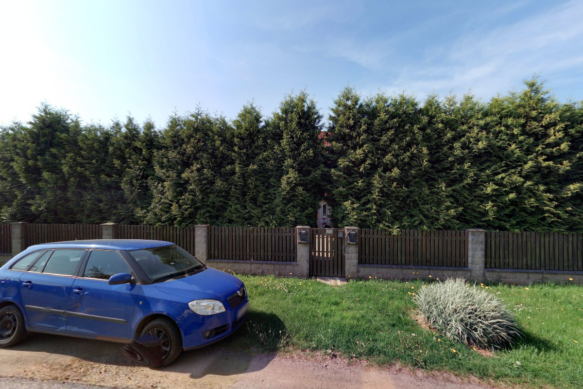 Kácení stromů u hřiště foto 1