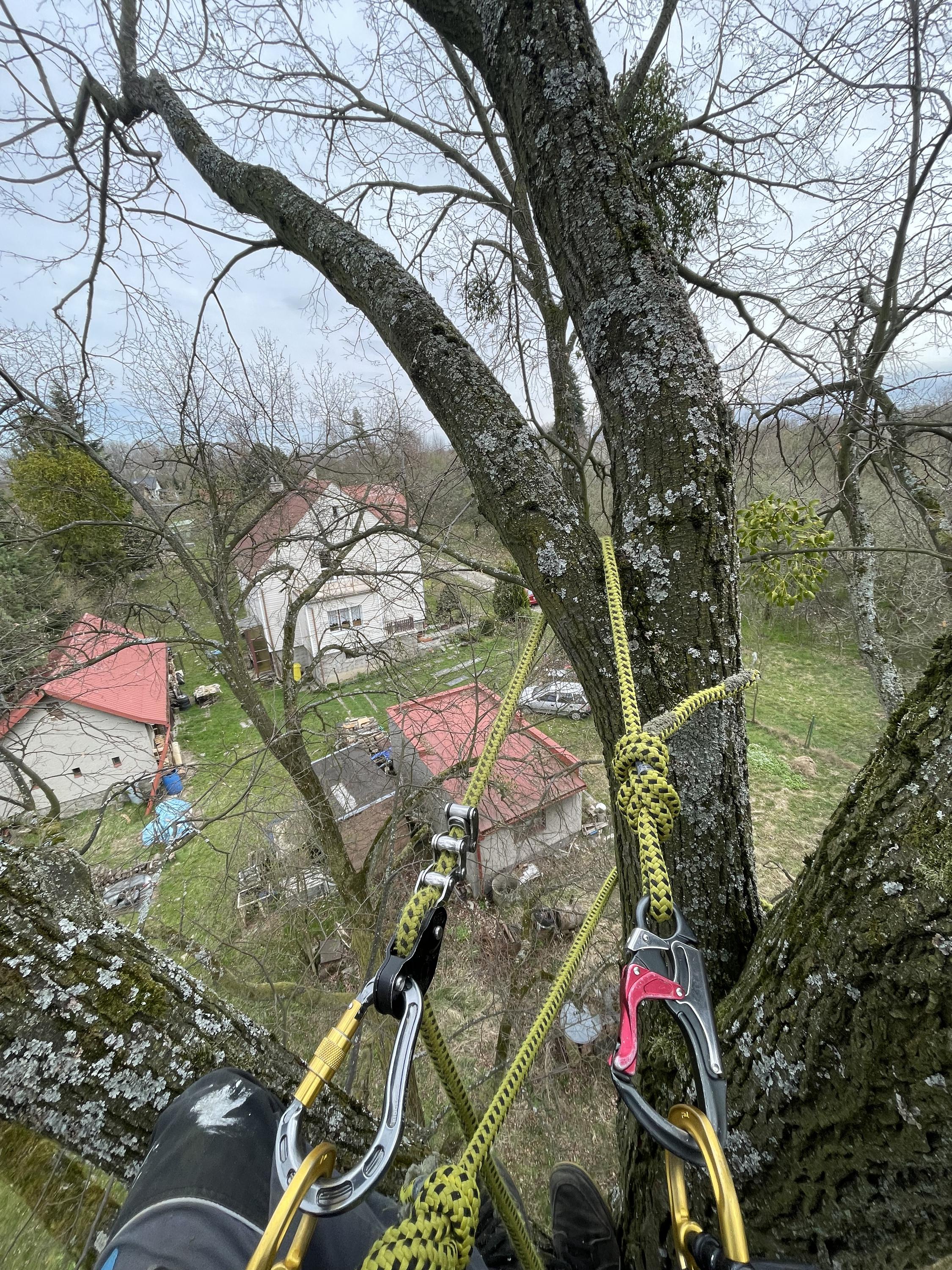 Zrubemto foto 6