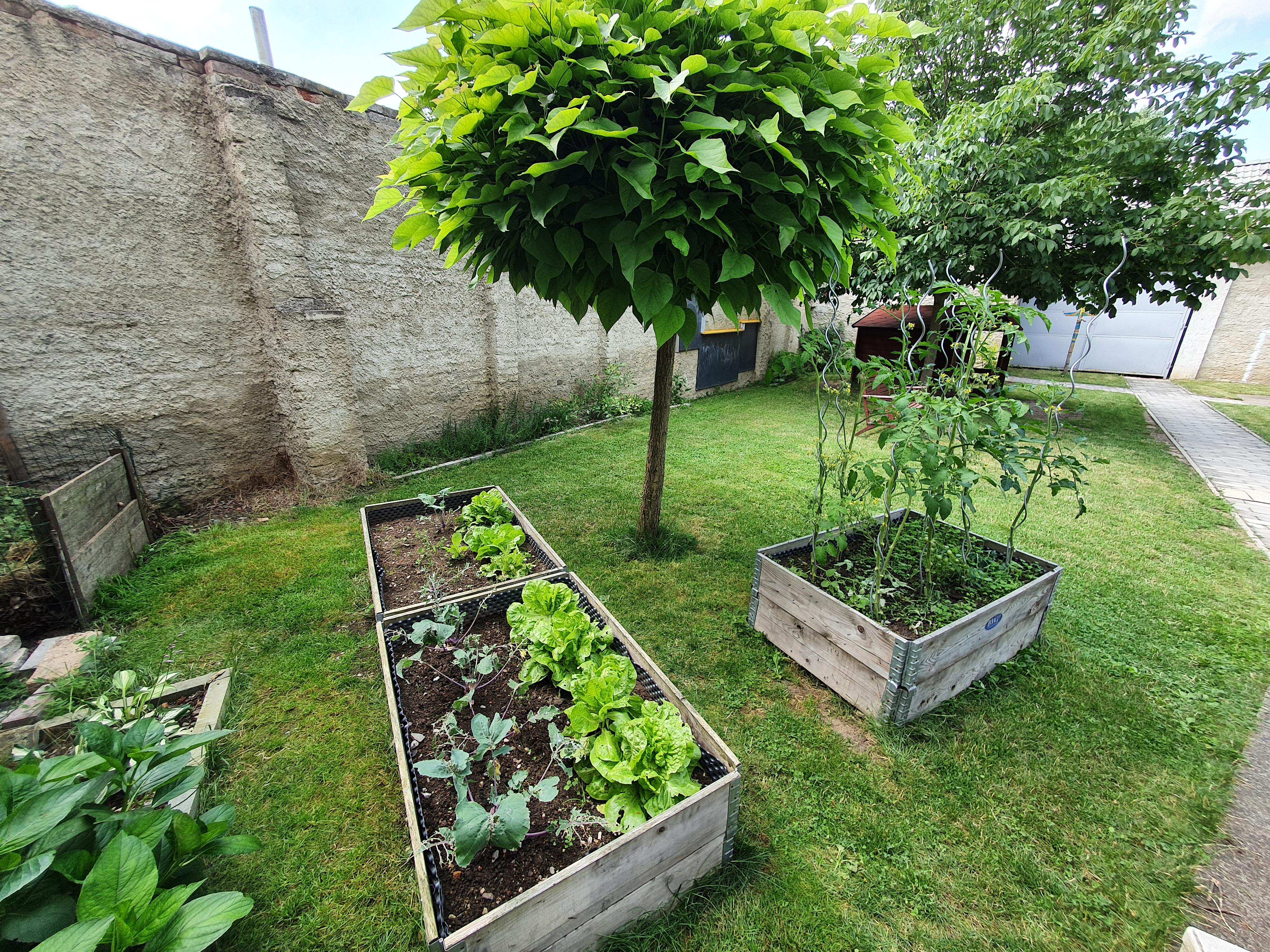 Mateřská škola Kaštánek foto 3