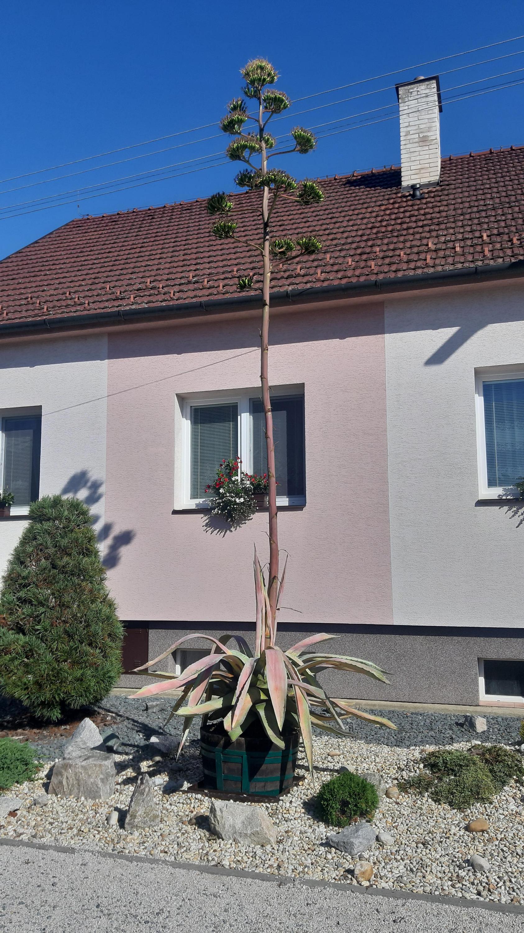 MŠ Kostelany nad Moravou foto 2