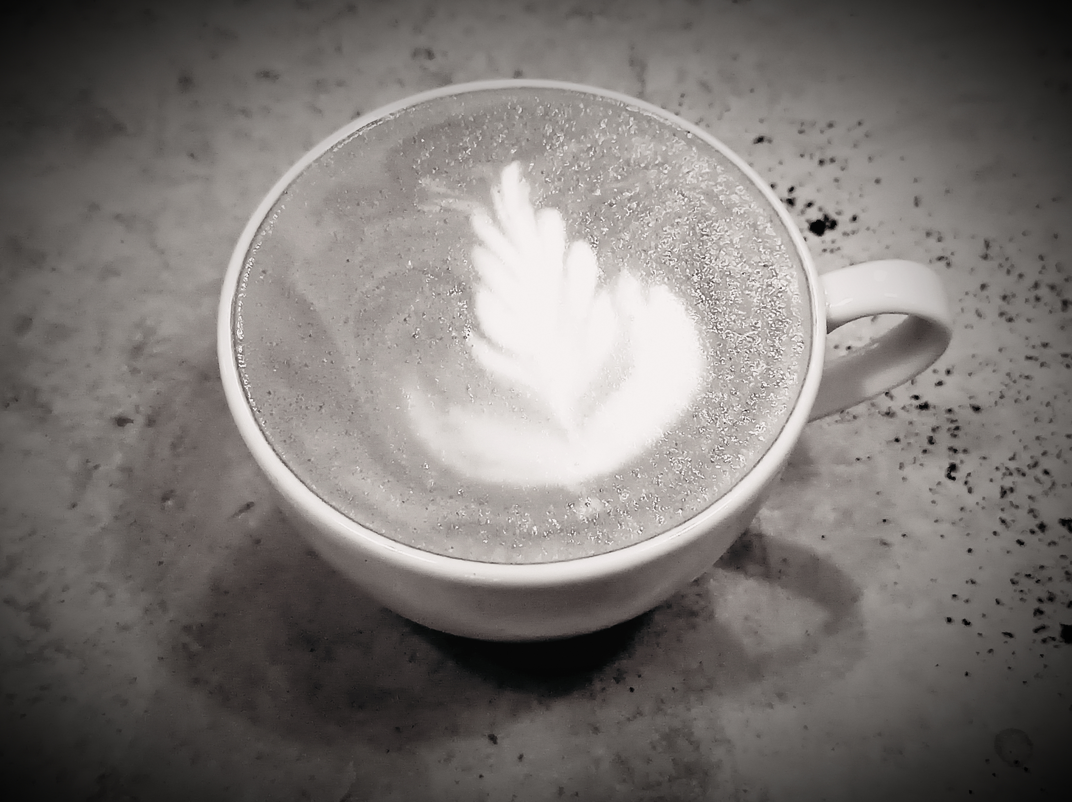 Mamut Coffee foto 6