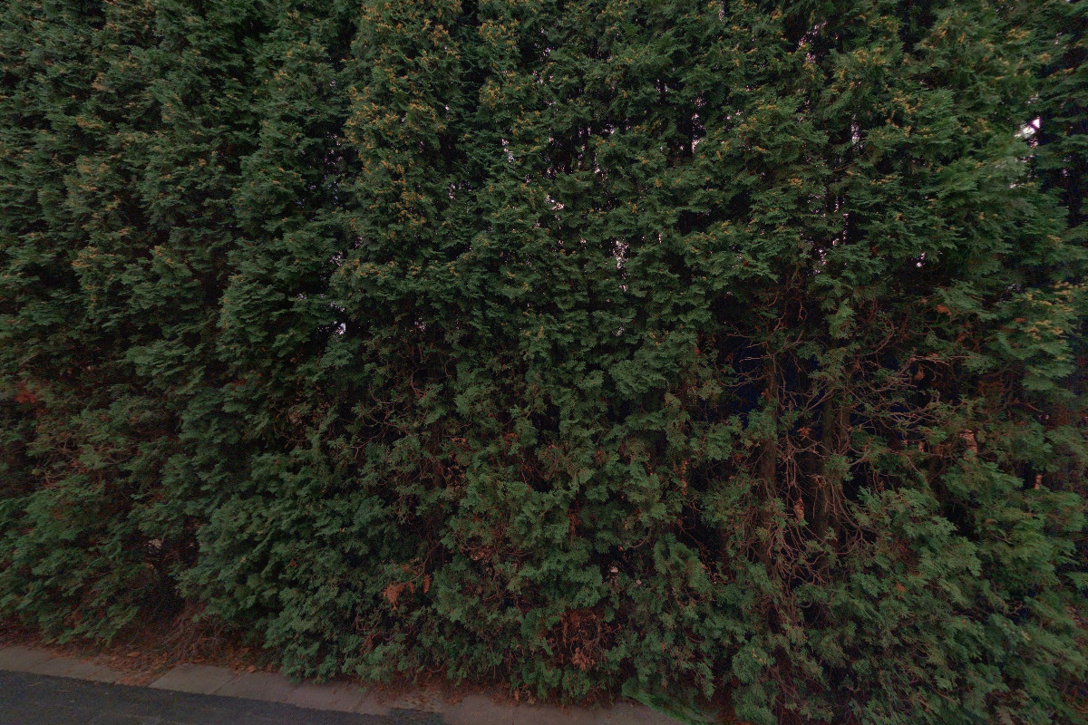 Tenisový kurt Horní Ředice foto 2