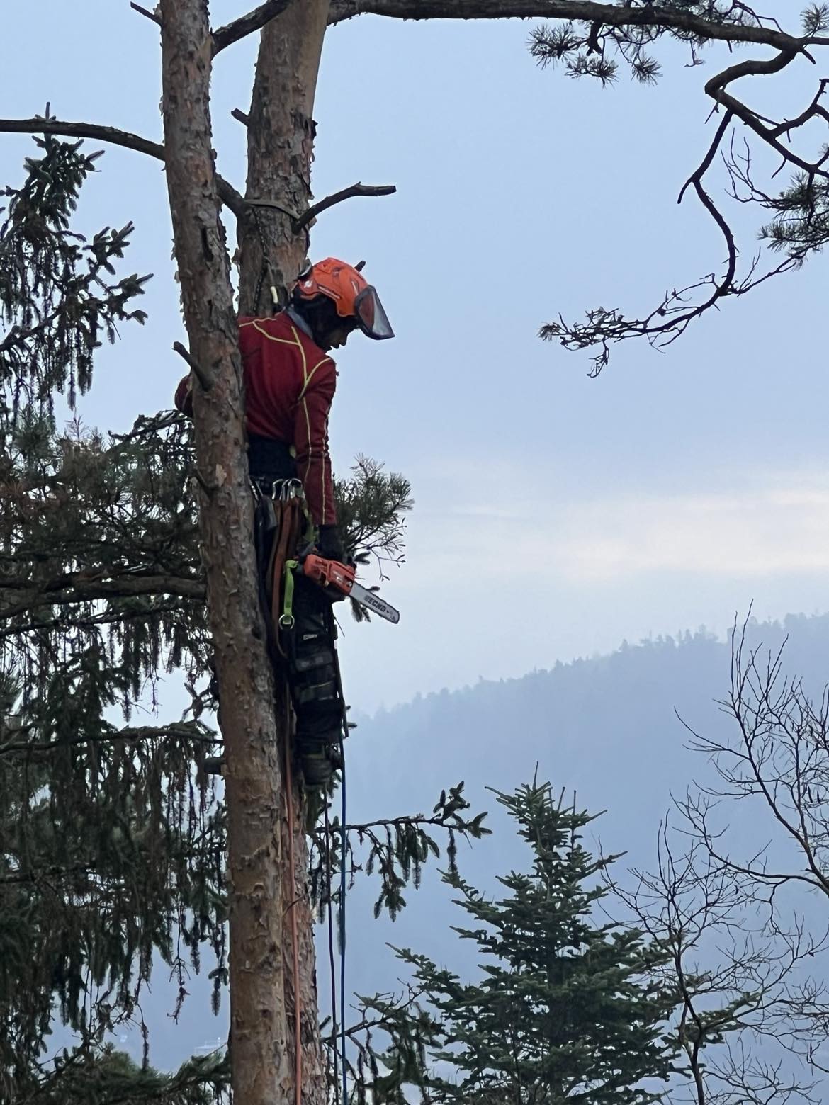 Rizikové kácení - Kryštof Feldstein foto 3