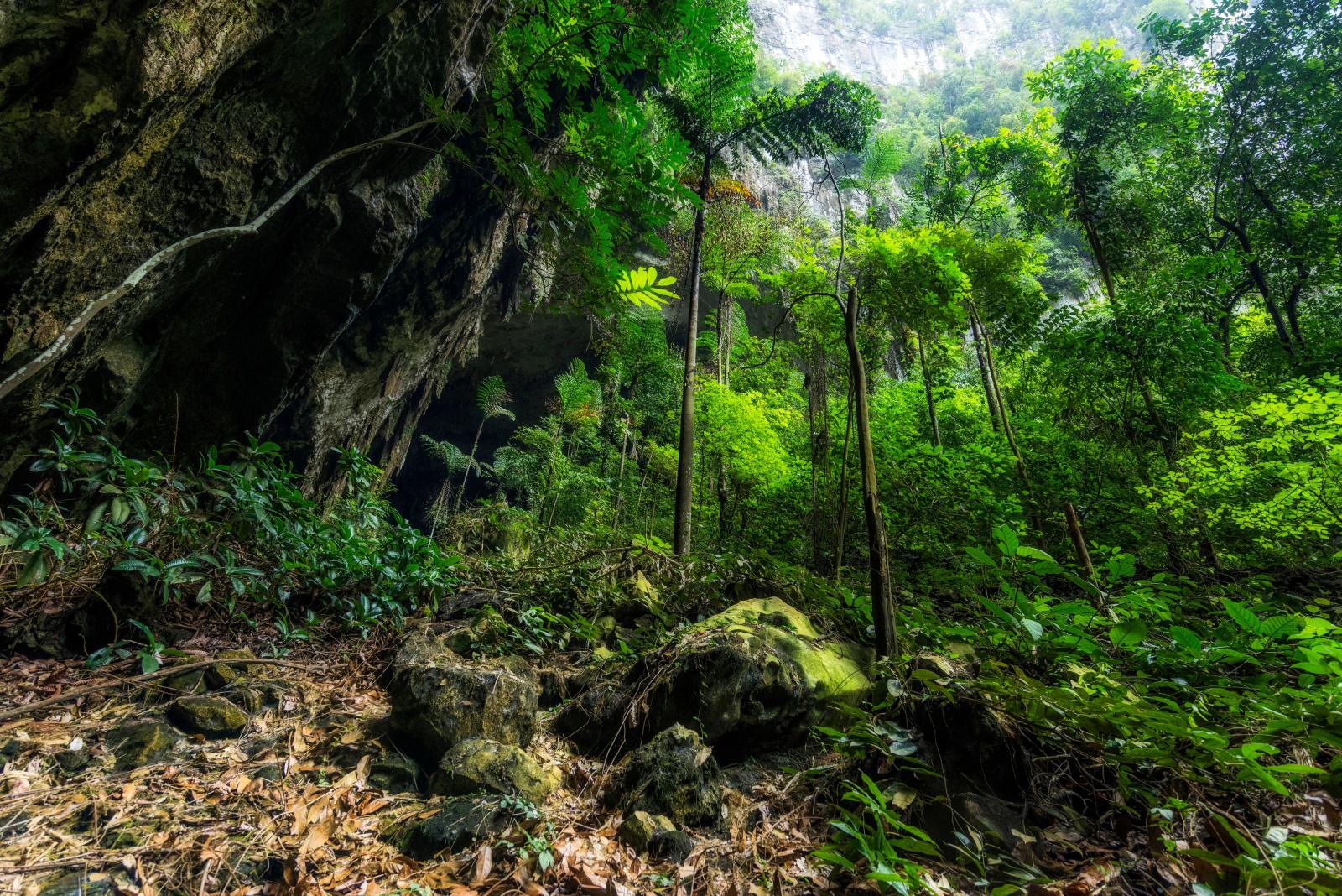 Druhá soukromá základní umělecká škola - Máj II foto 1